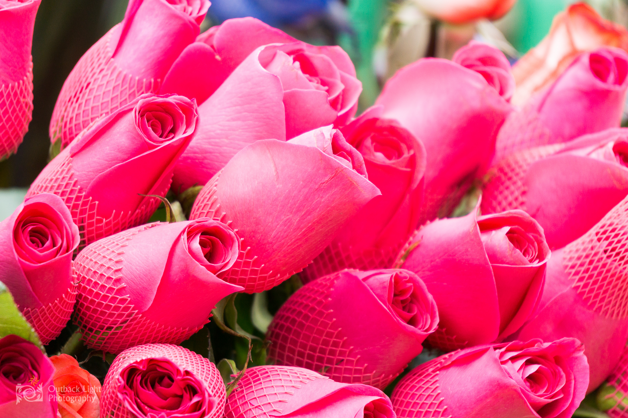 Peru 2016 A6000 6456