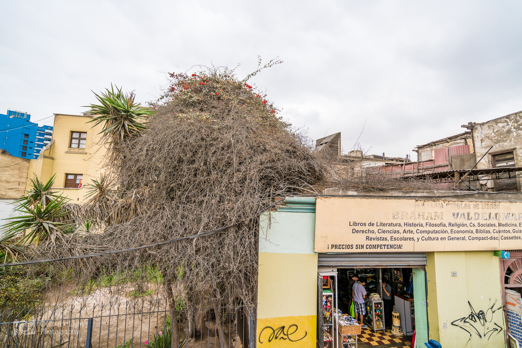 Peru 2016 A7RII 4009