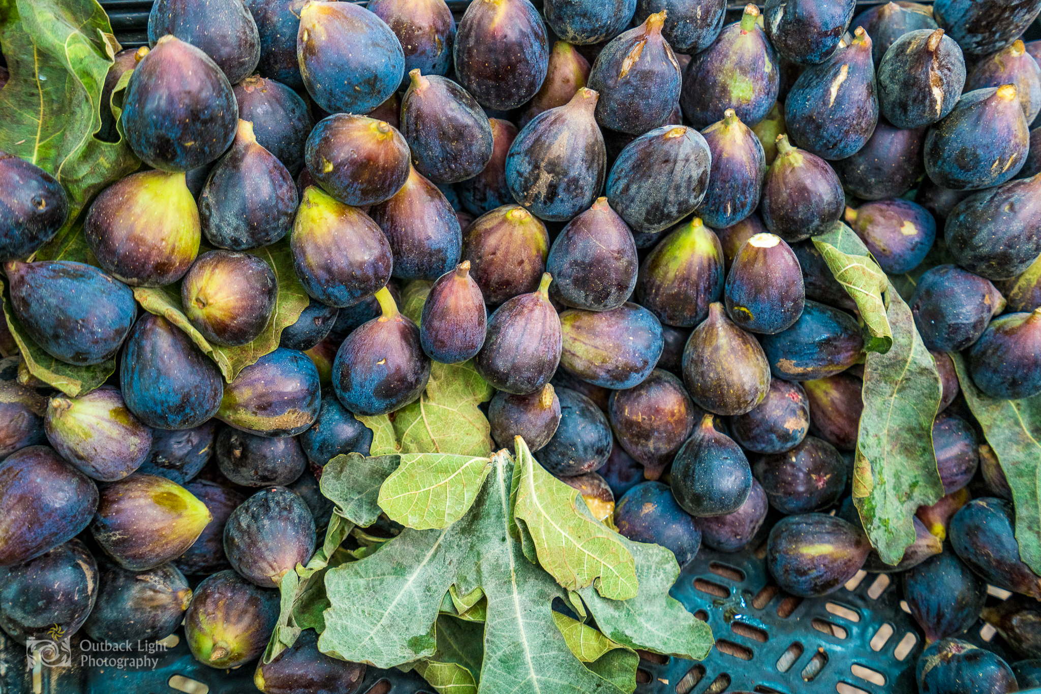 Peru 2016 A7RII 4072