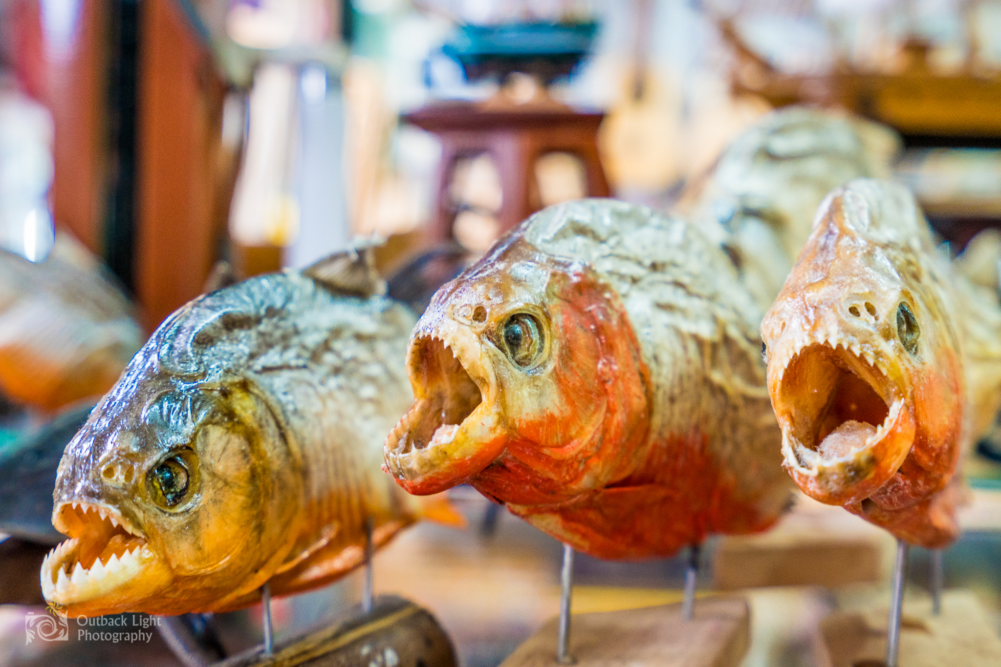 Peru 2016 A7RII 4124