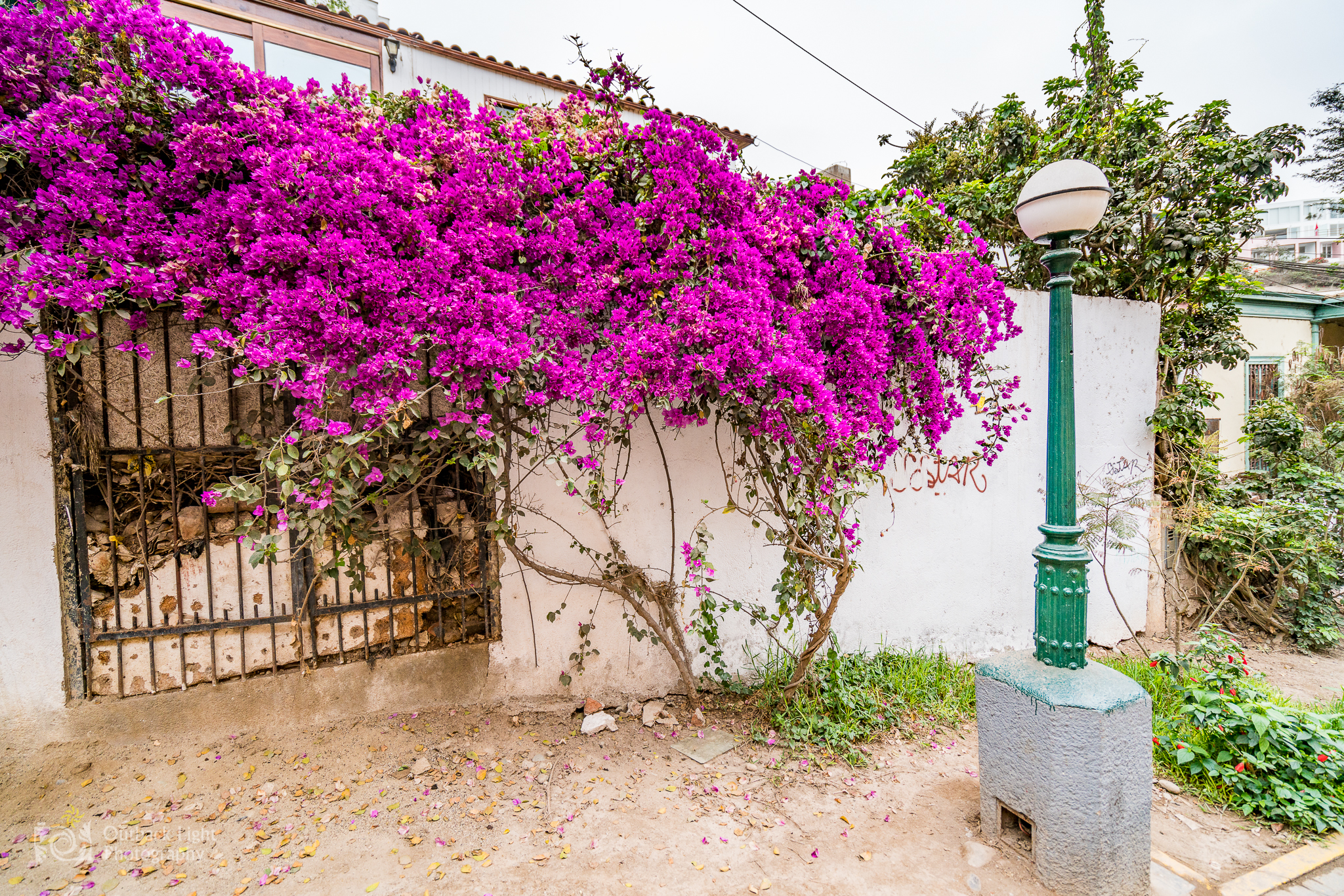 Peru 2016 A7RII 5363