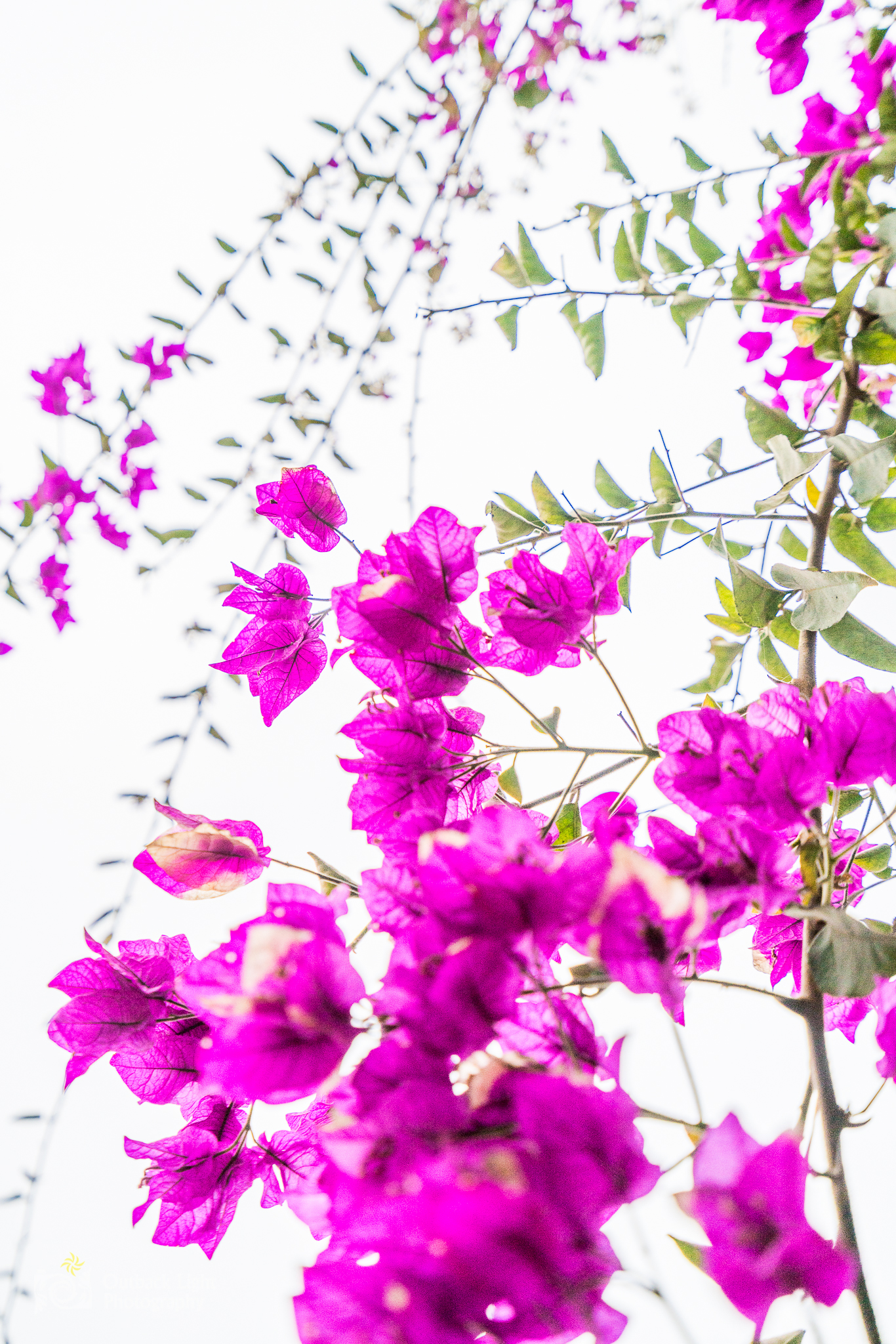 Peru 2016 A7RII 5403