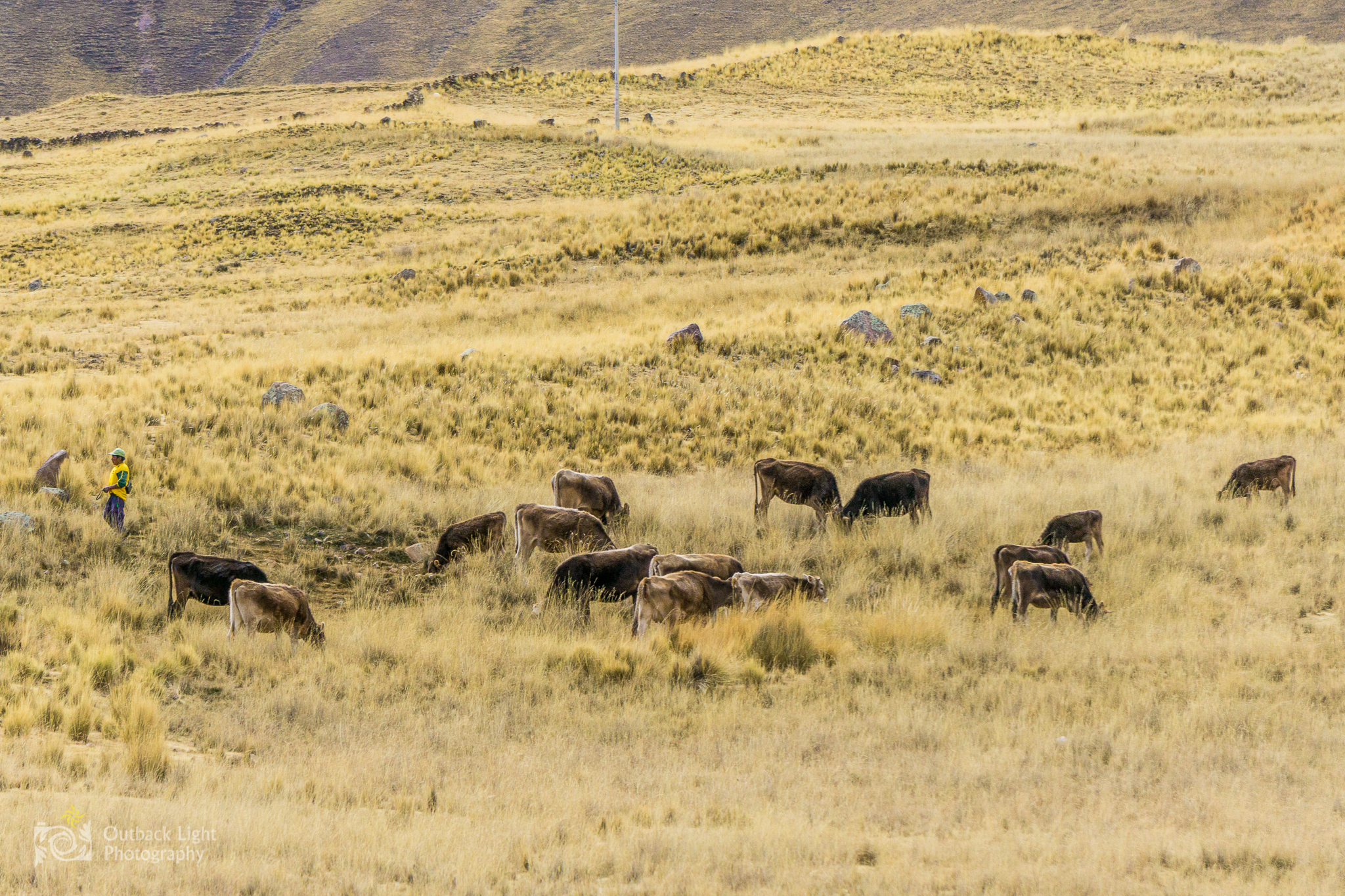 Peru 2016 A6000 6788