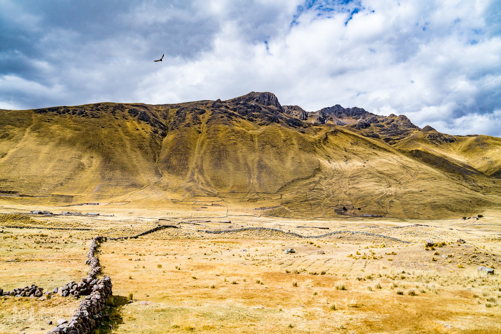 Peru 2016 A7RII 4467