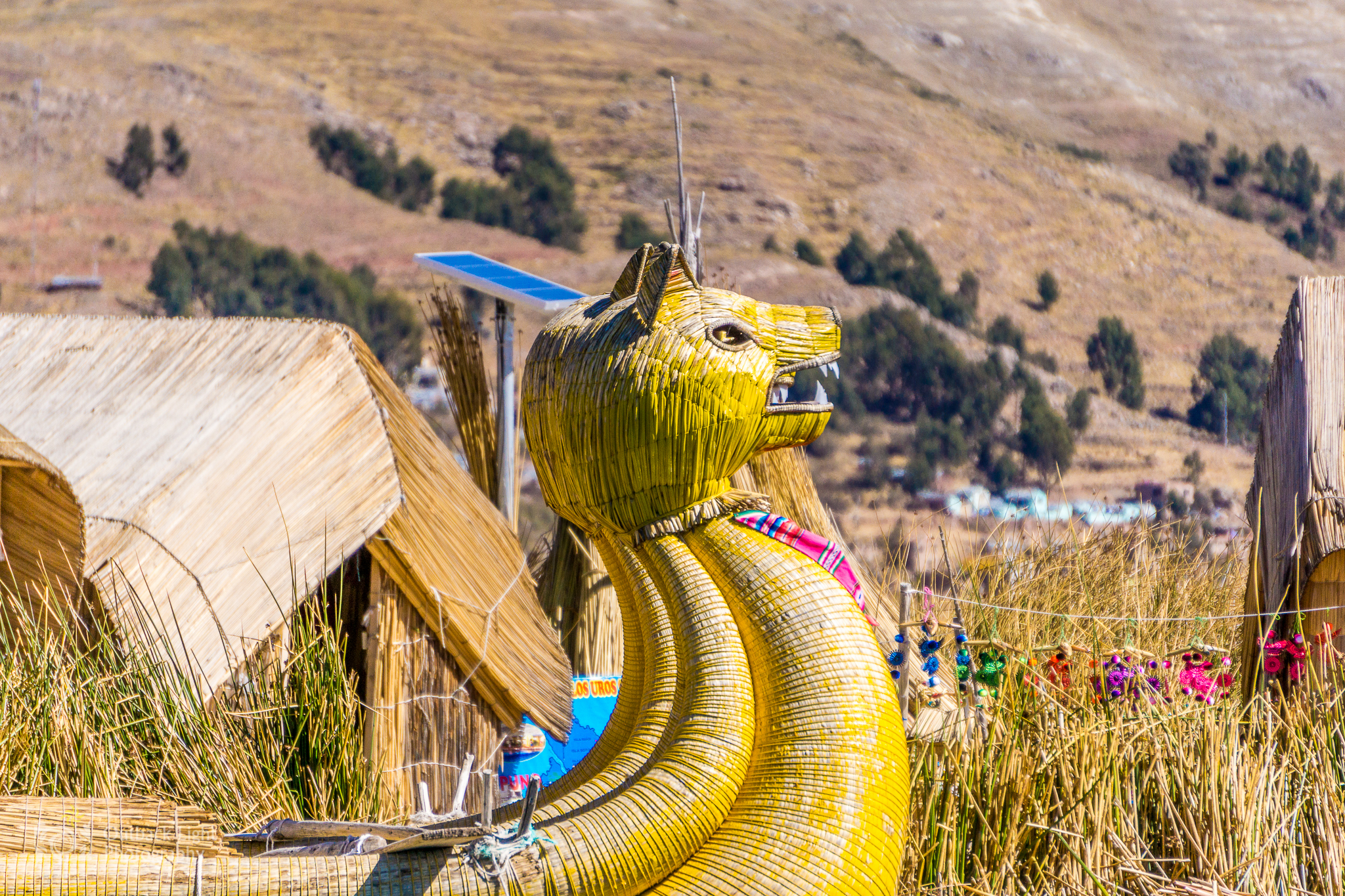 Peru 2016 A6000 6846