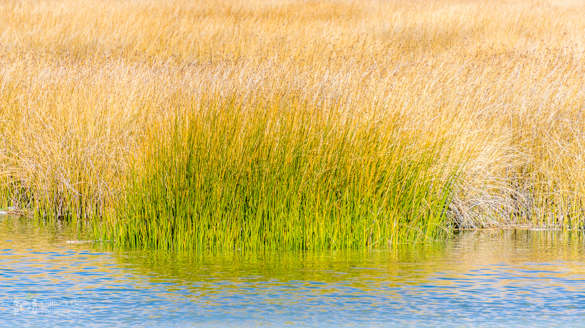 Peru 2016 A6000 6855