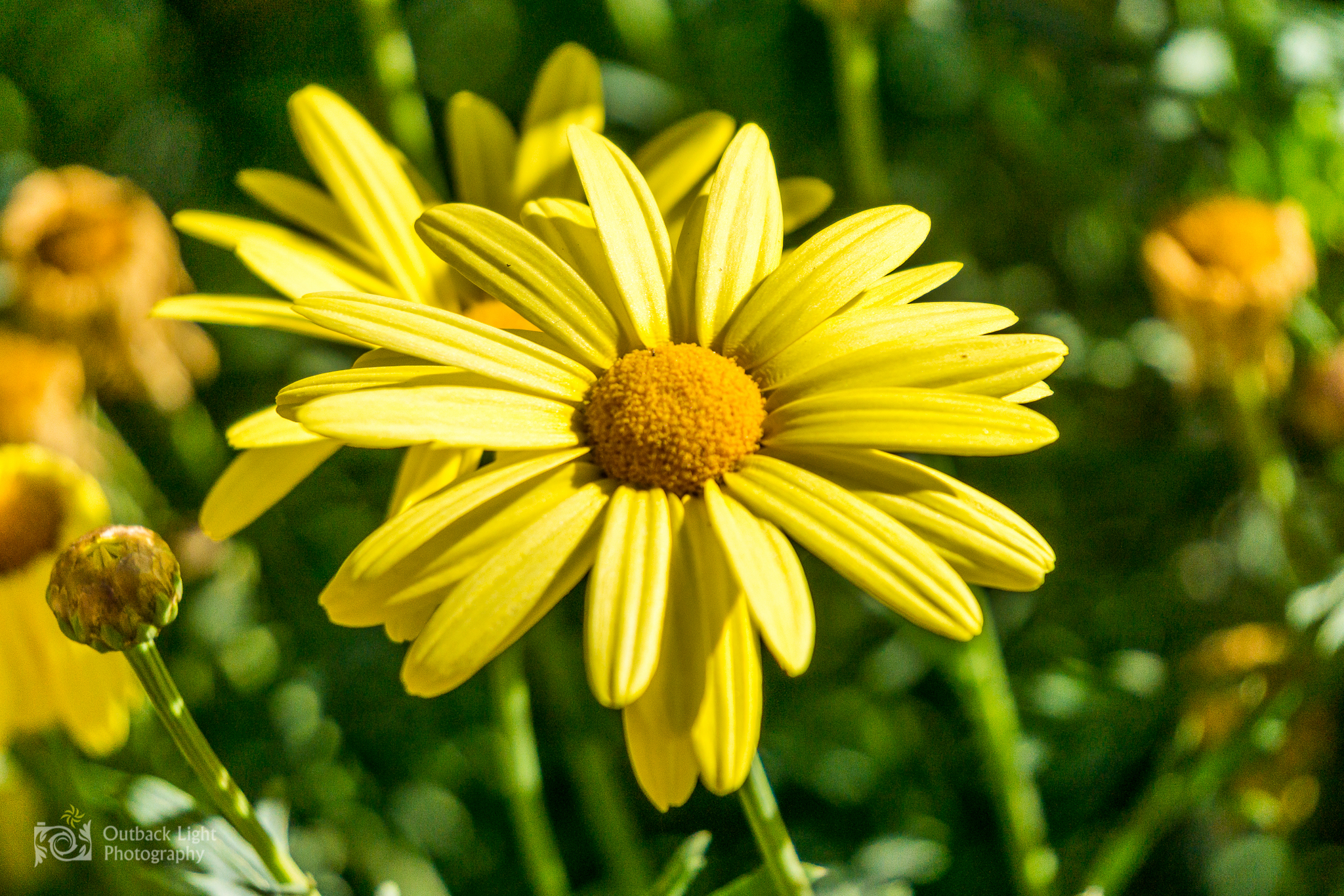 Peru 2016 A6000 6856