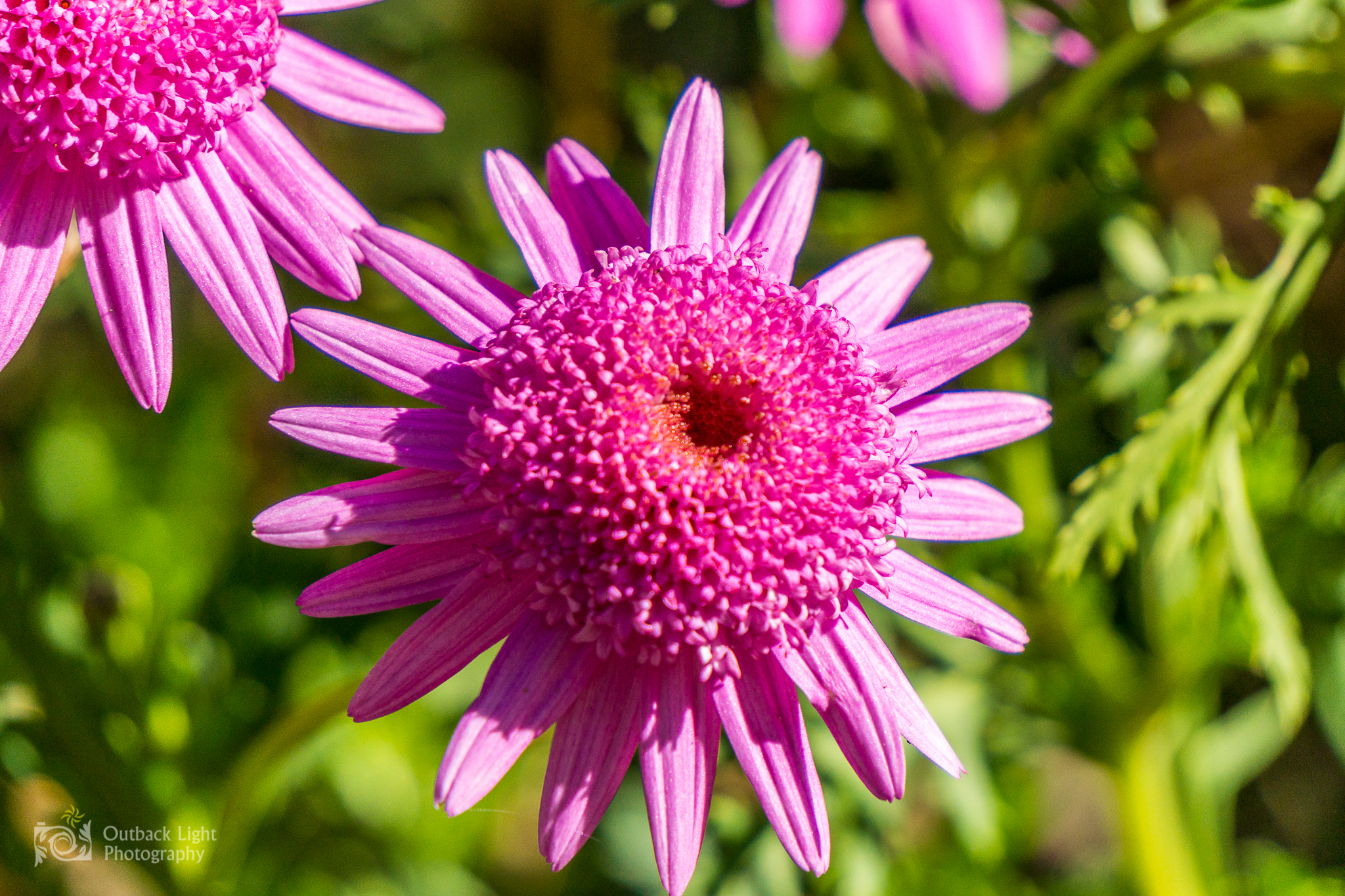 Peru 2016 A6000 6857