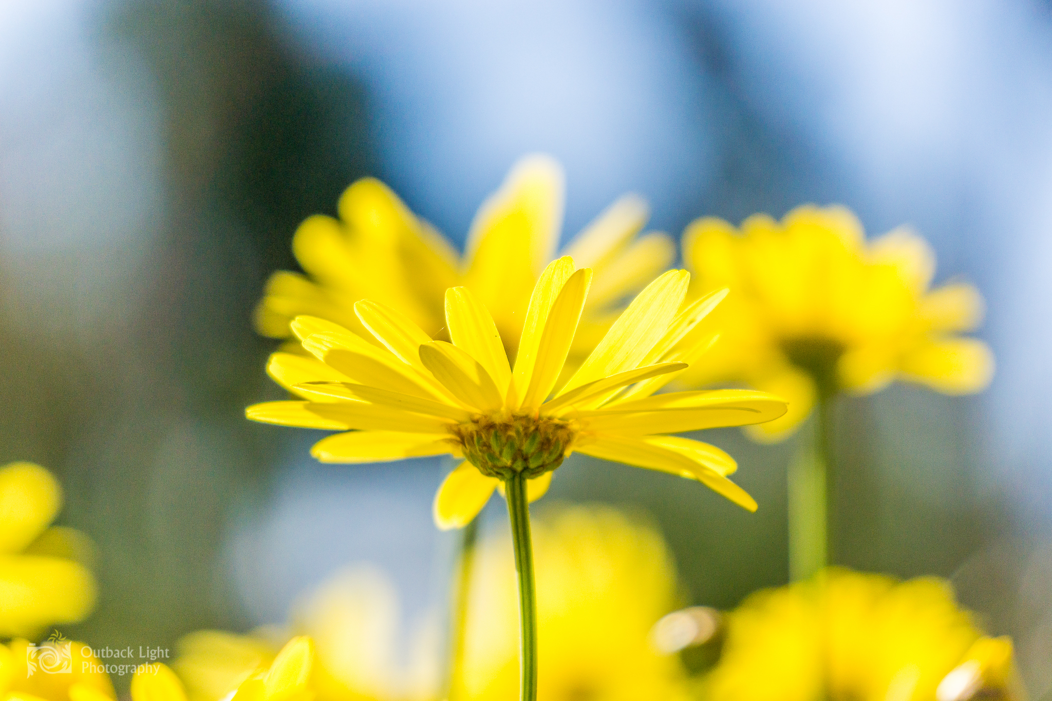 Peru 2016 A6000 6861