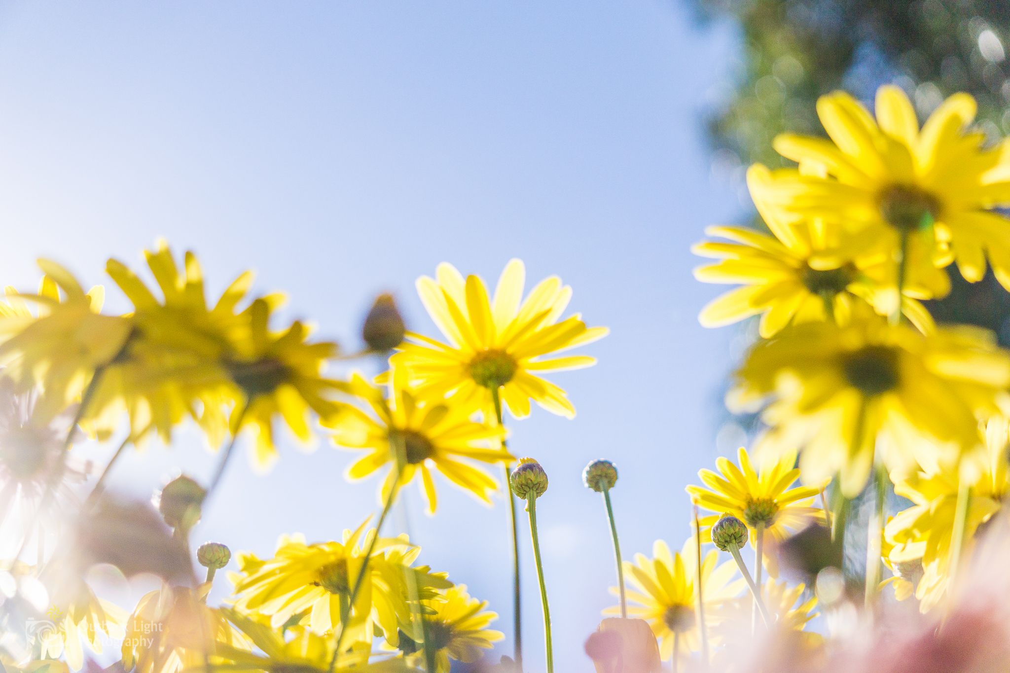 Peru 2016 A6000 6865