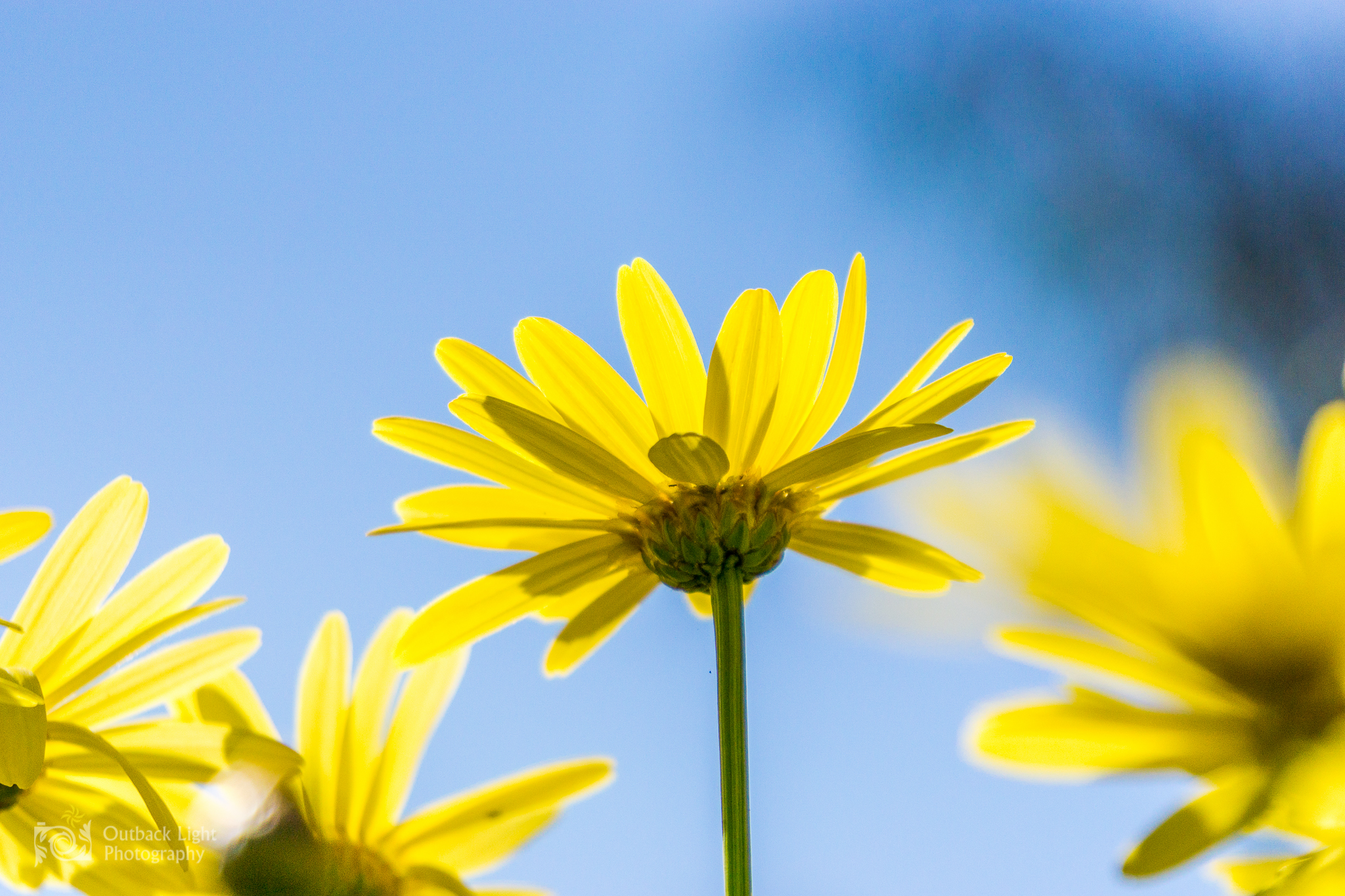 Peru 2016 A6000 6869