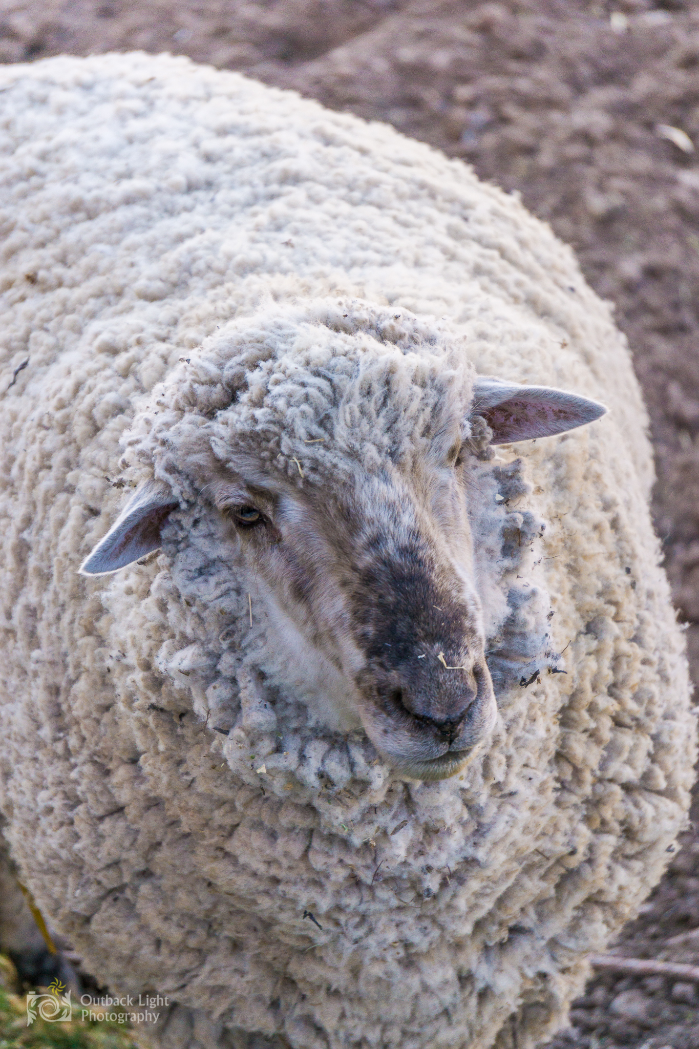 Peru 2016 A6000 6872