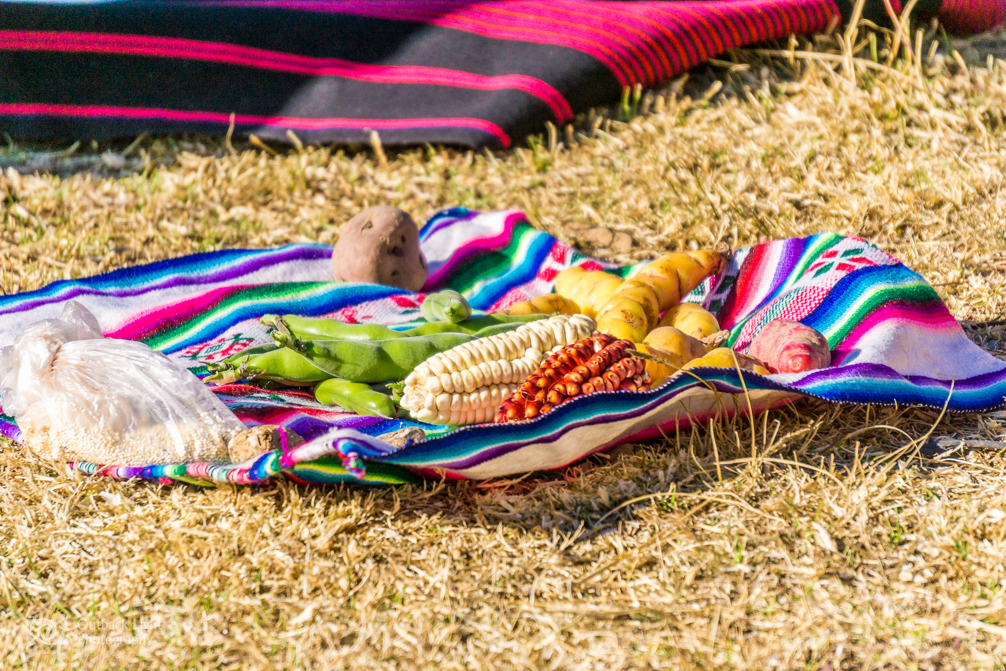 Peru 2016 A6000 6873