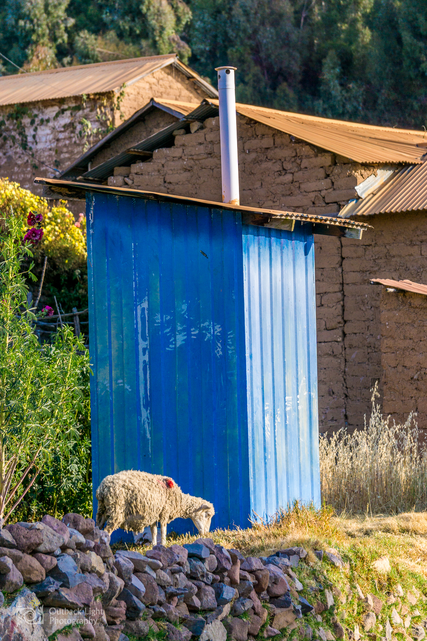 Peru 2016 A6000 6885