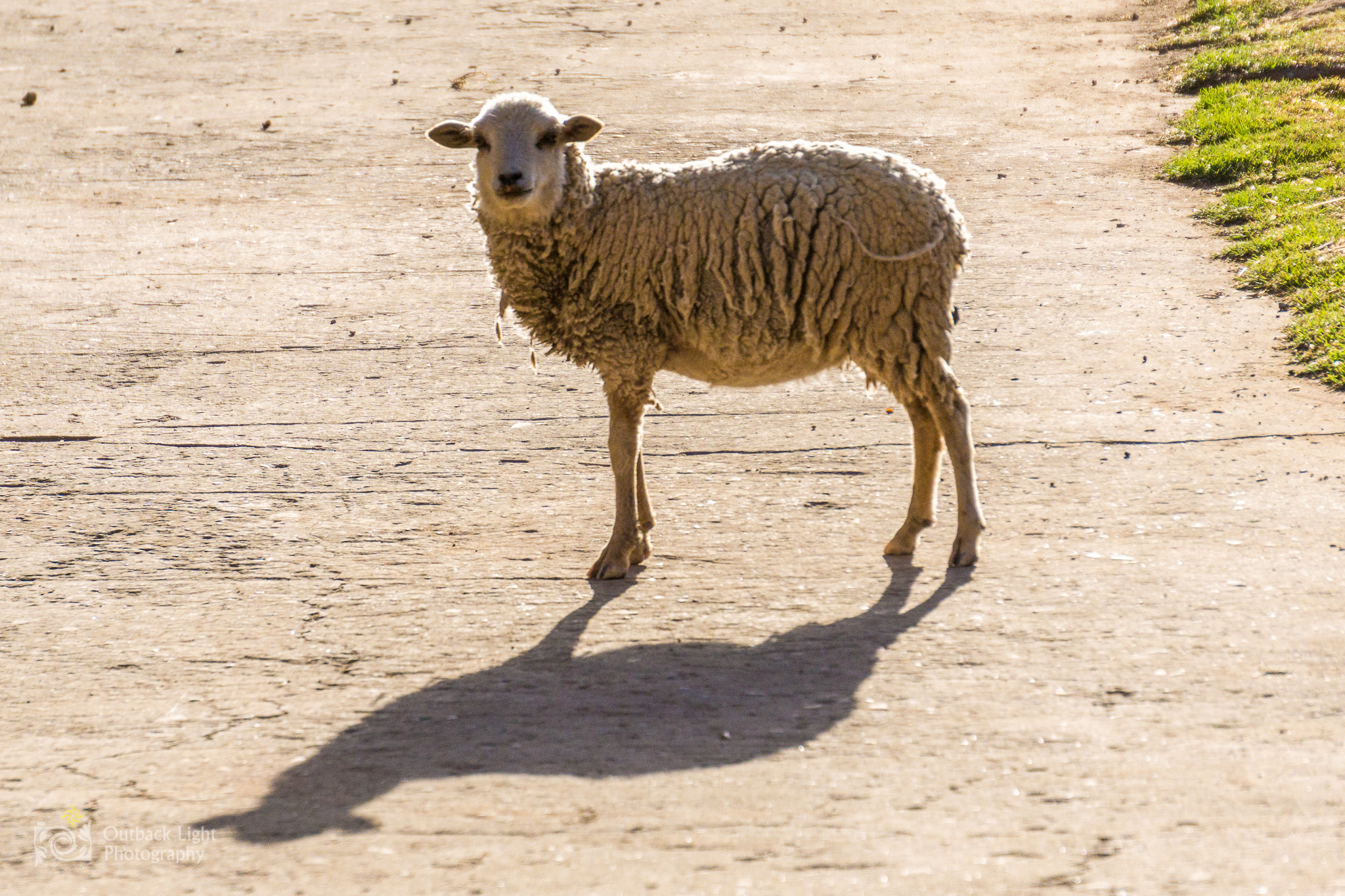 Peru 2016 A6000 6889