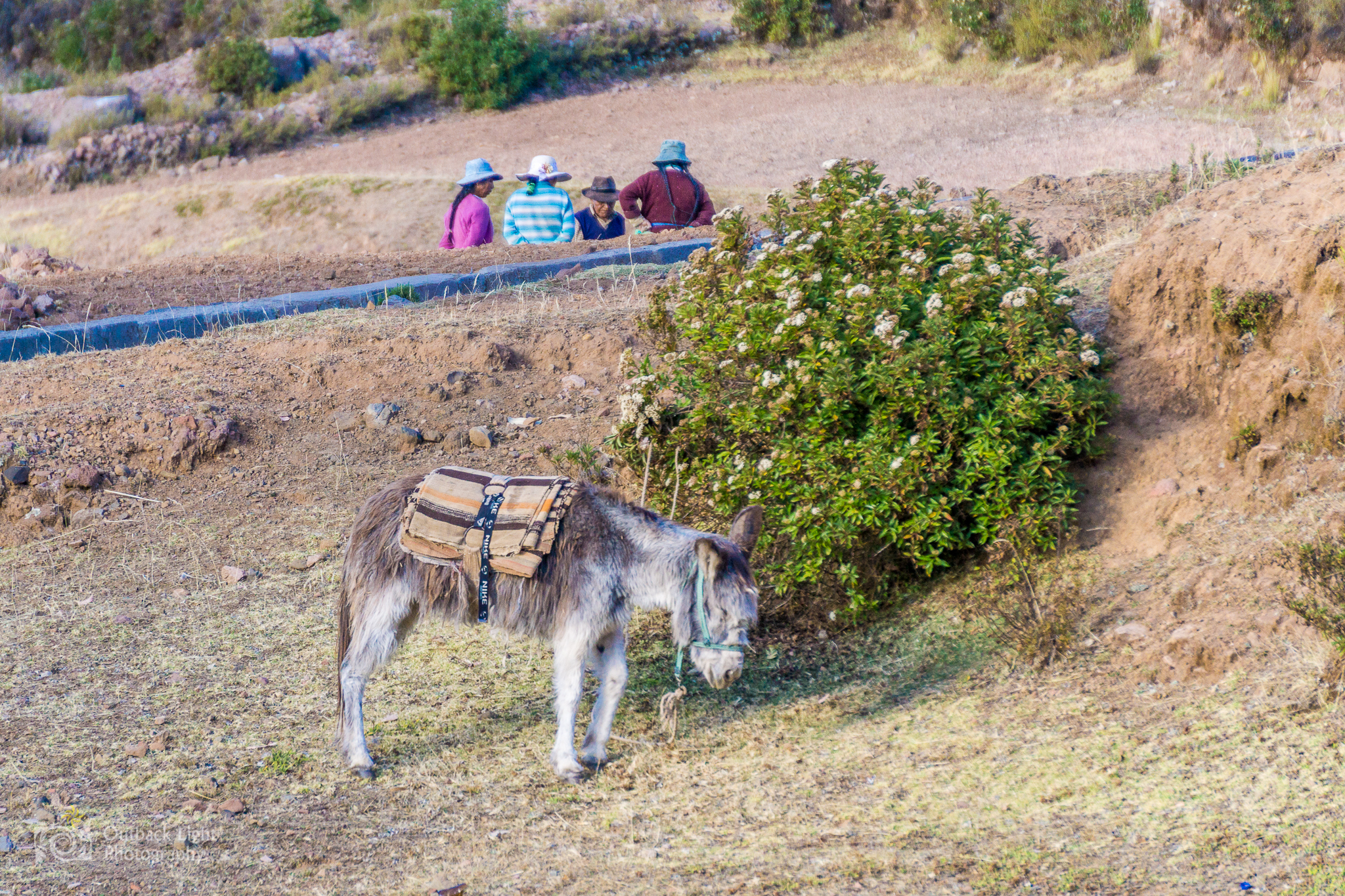 Peru 2016 A6000 6897