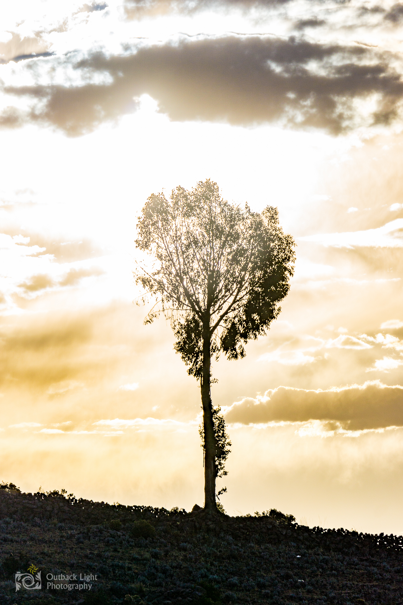 Peru 2016 A6000 6906