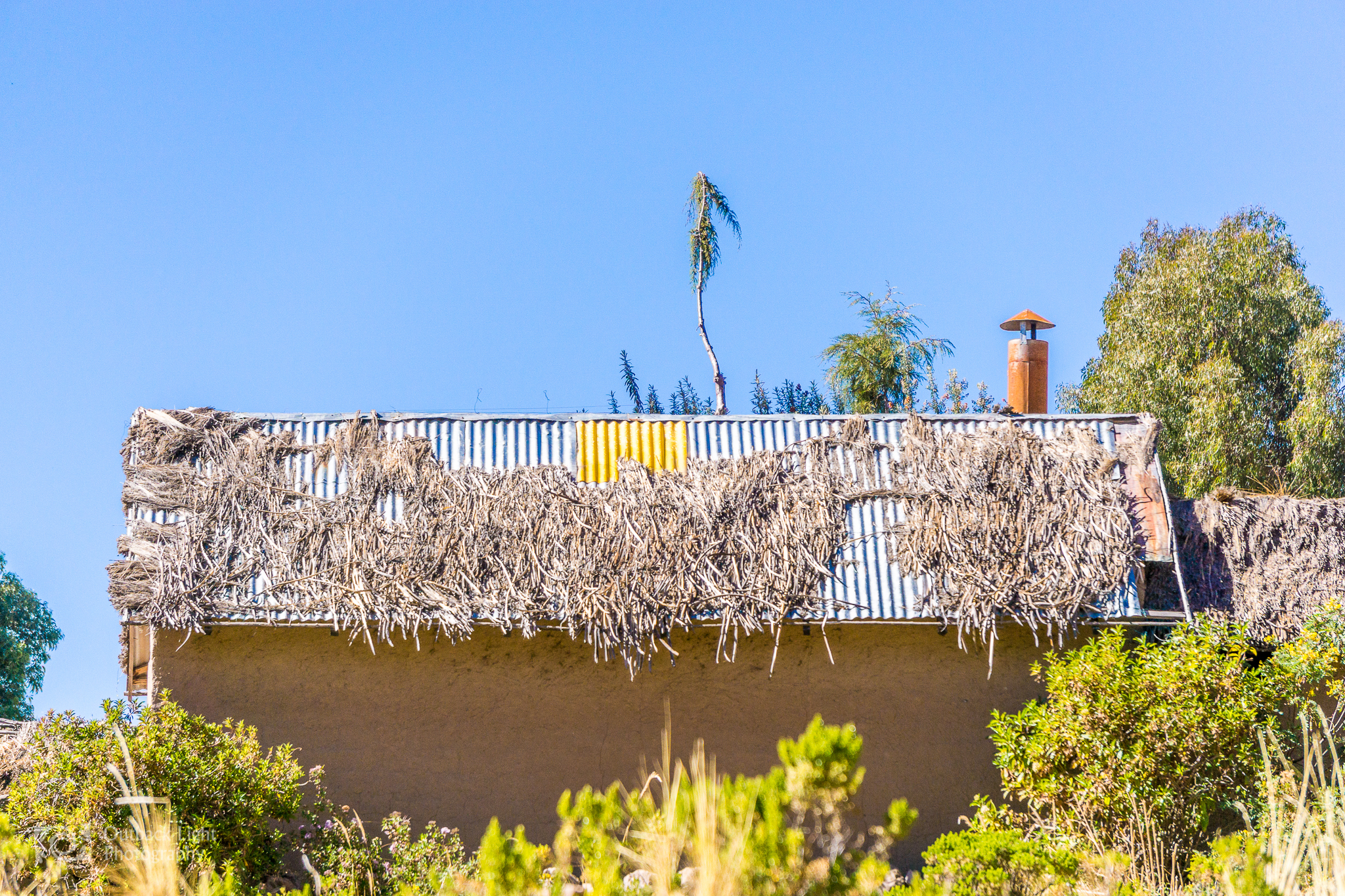 Peru 2016 A6000 6933