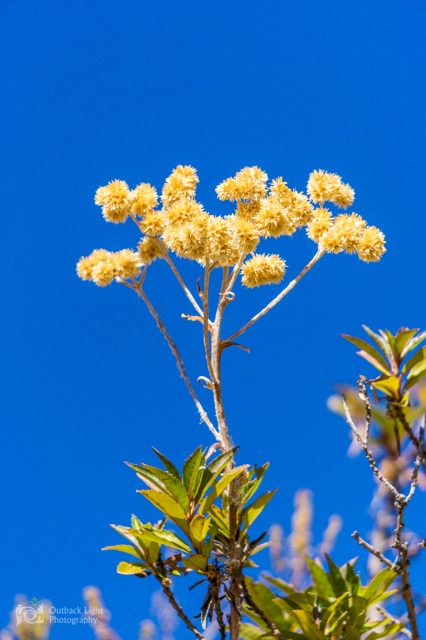 Peru 2016 A6000 6934