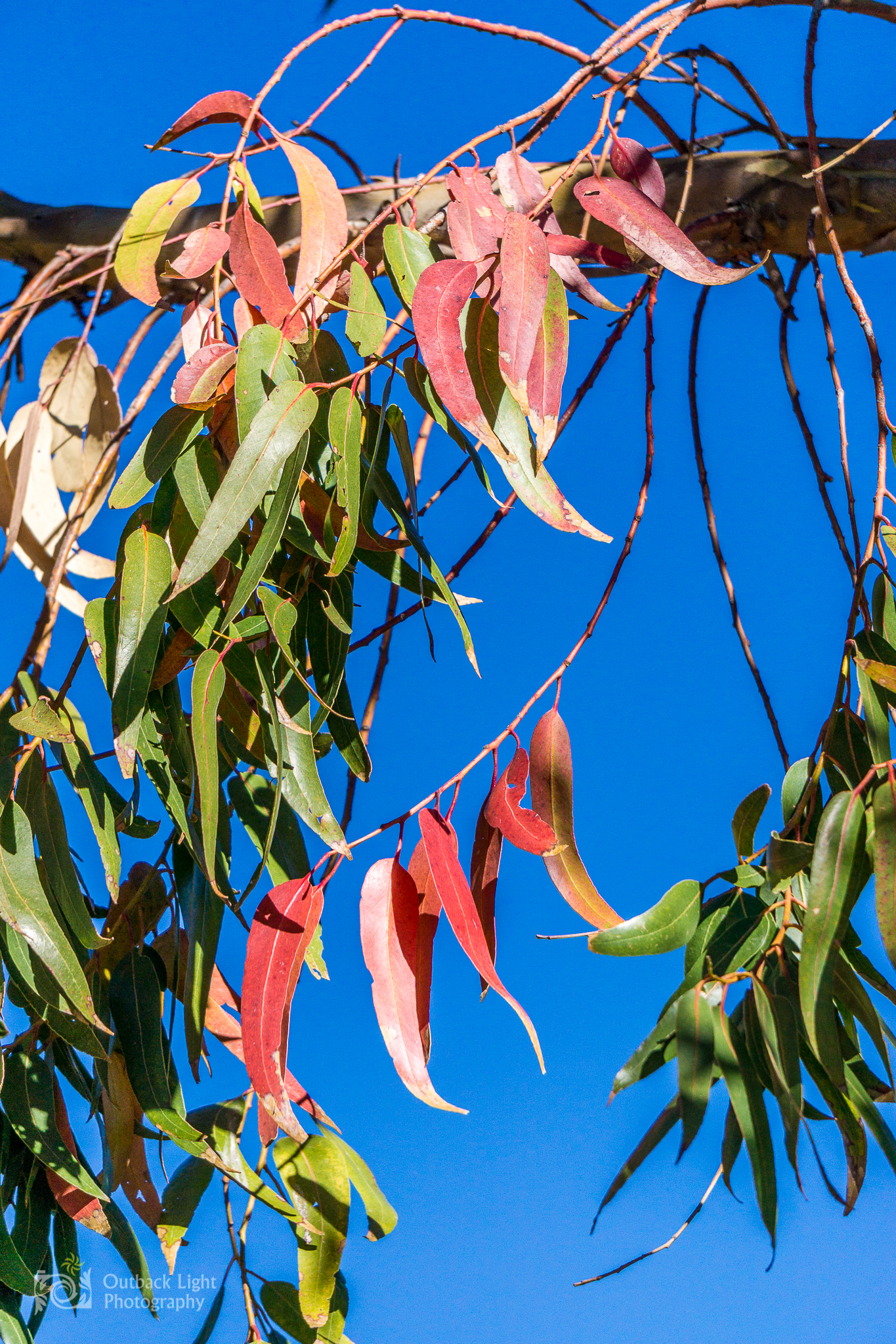 Peru 2016 A6000 6941