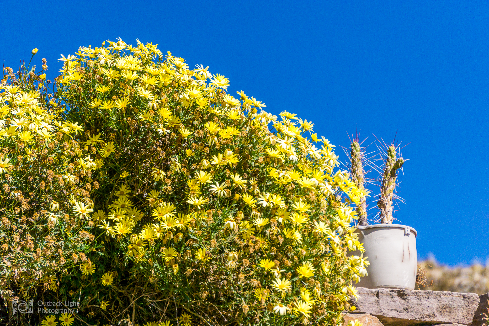 Peru 2016 A6000 6947