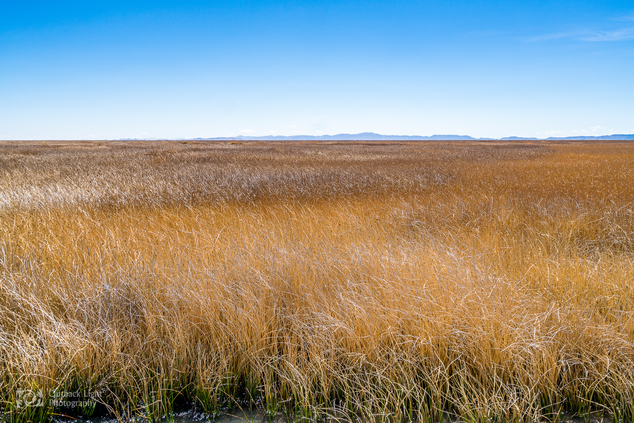 Peru 2016 A7RII 4605