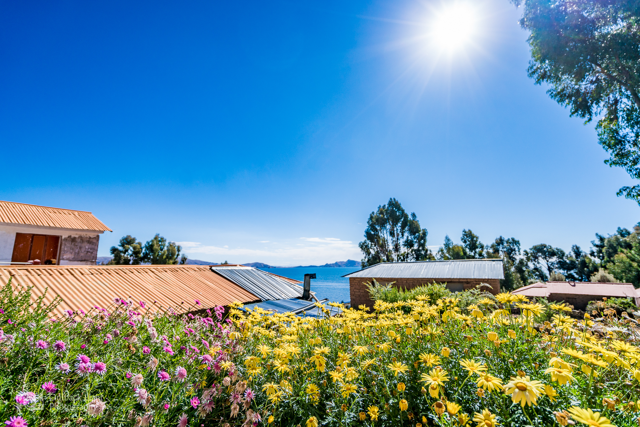Peru 2016 A7RII 4610