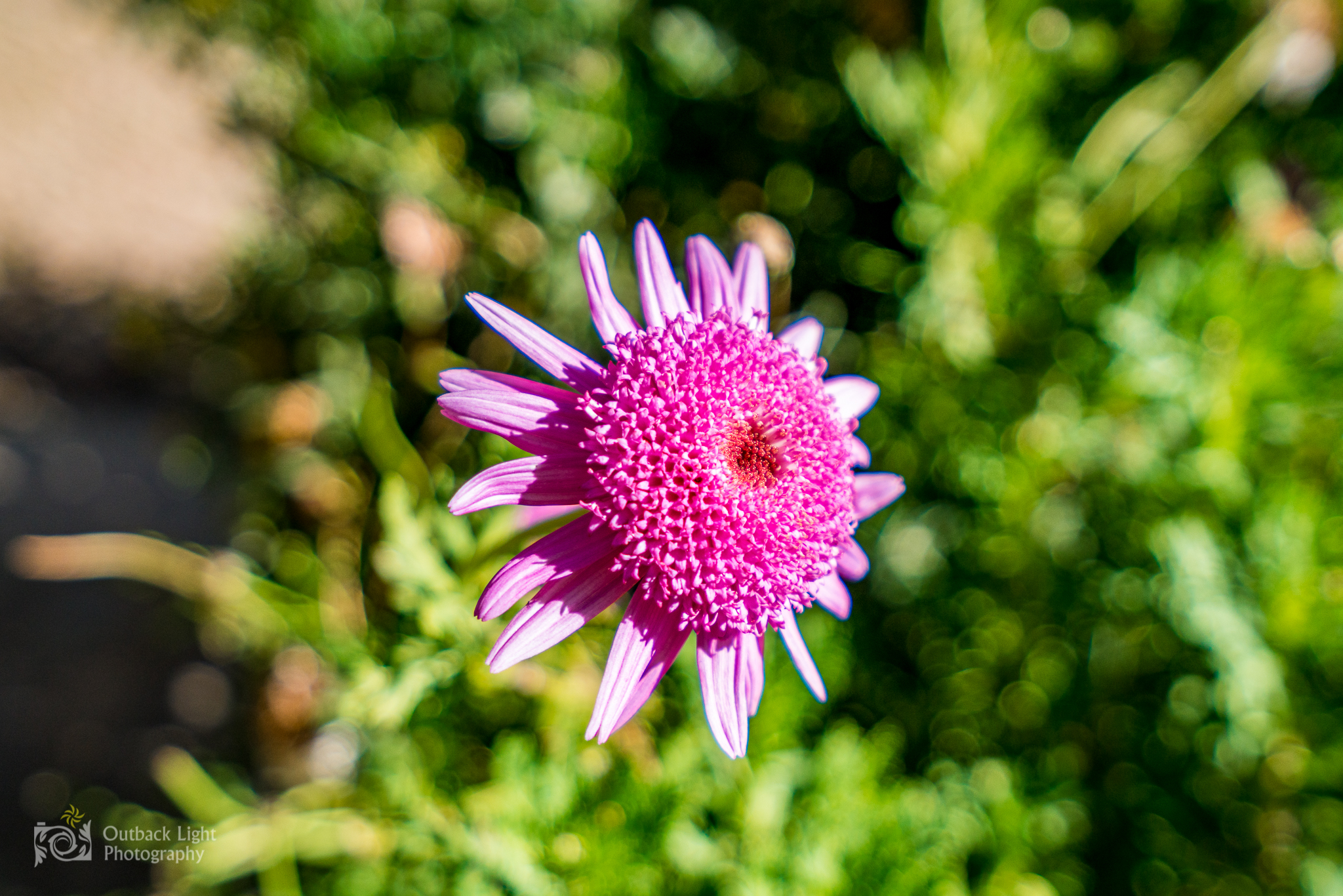 Peru 2016 A7RII 4611