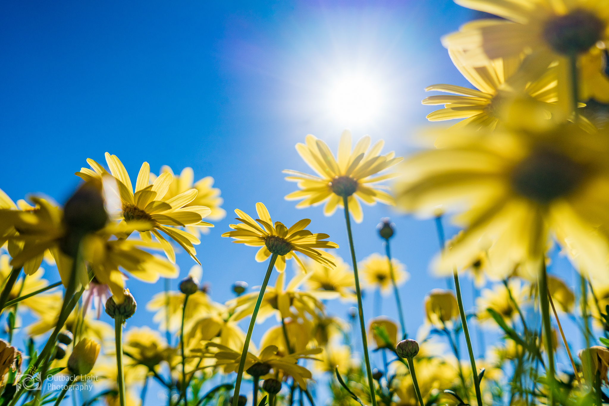 Peru 2016 A7RII 4613