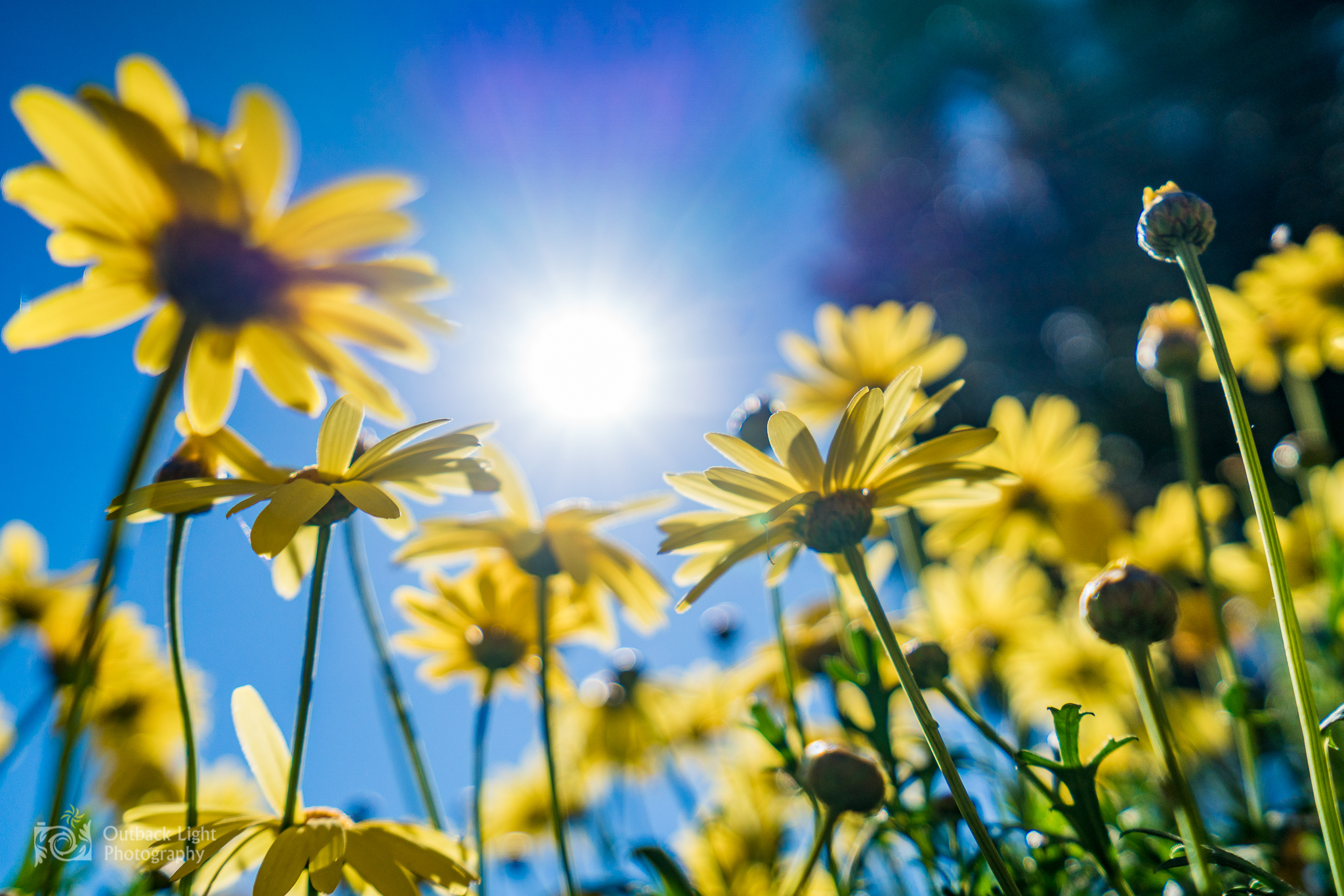 Peru 2016 A7RII 4615