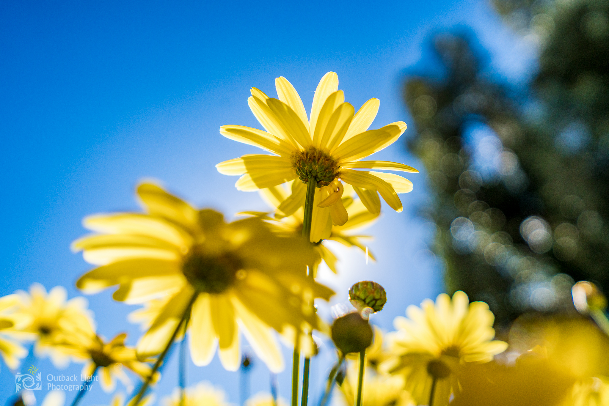 Peru 2016 A7RII 4616