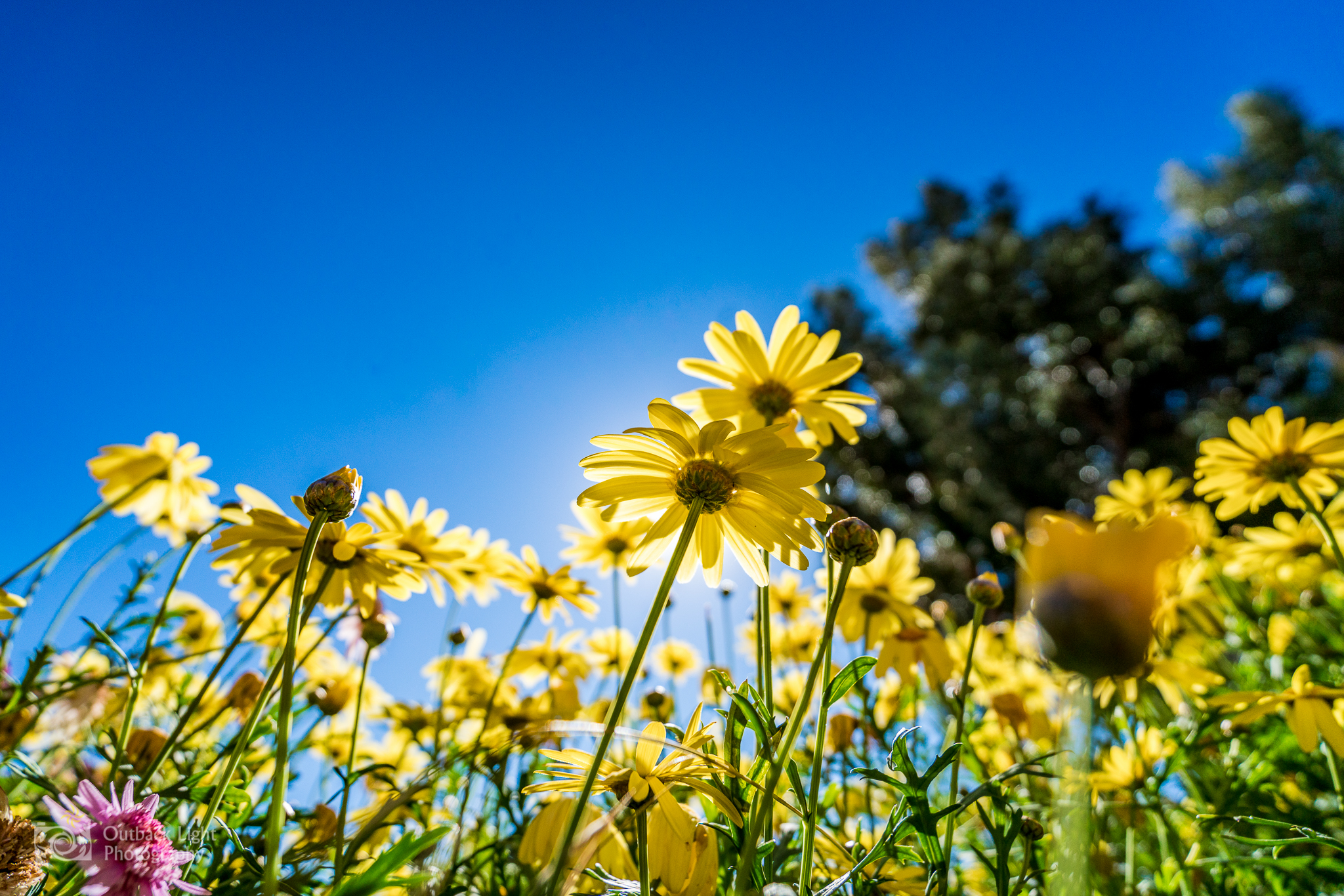 Peru 2016 A7RII 4617