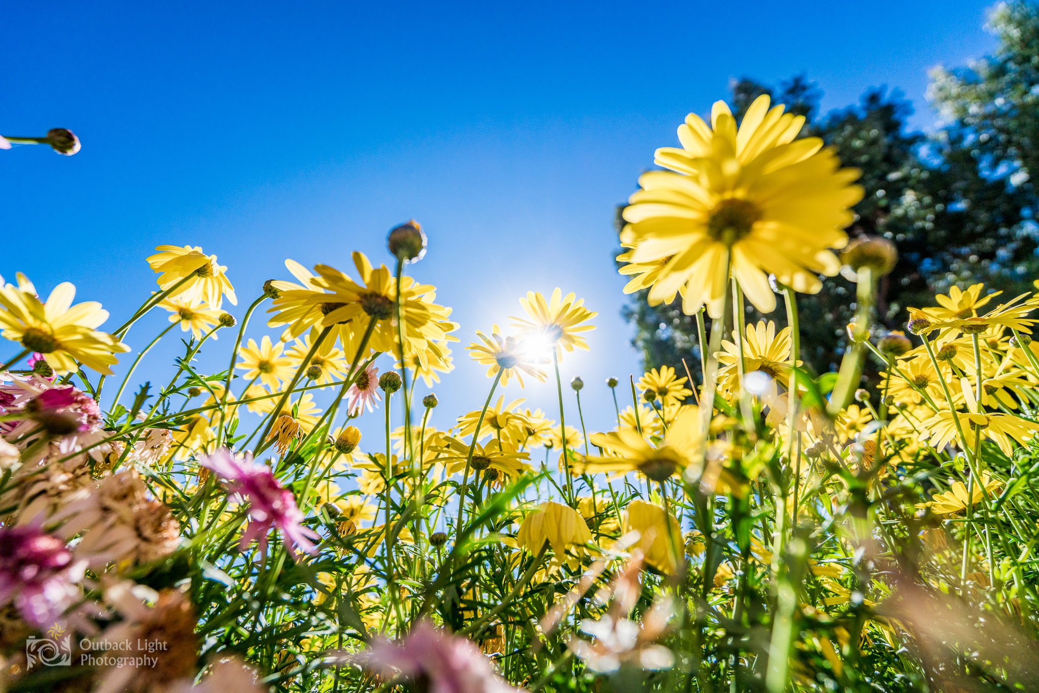 Peru 2016 A7RII 4618