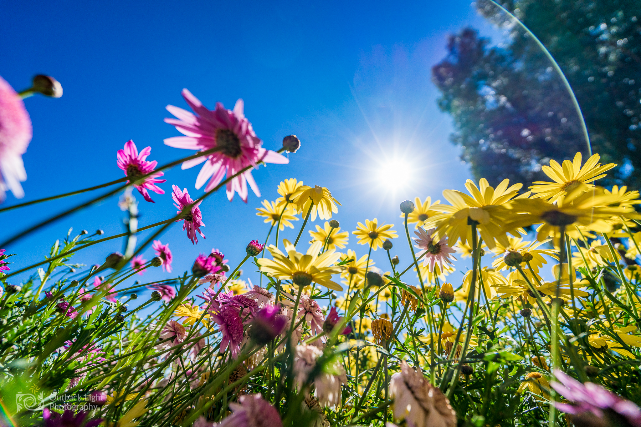 Peru 2016 A7RII 4619