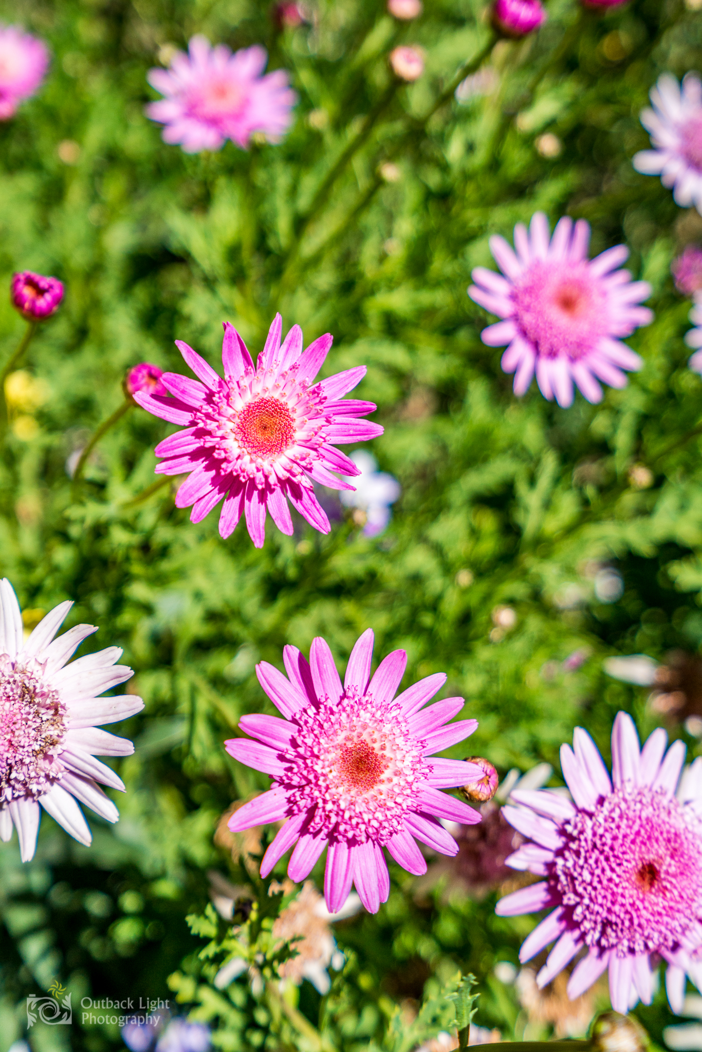 Peru 2016 A7RII 4623