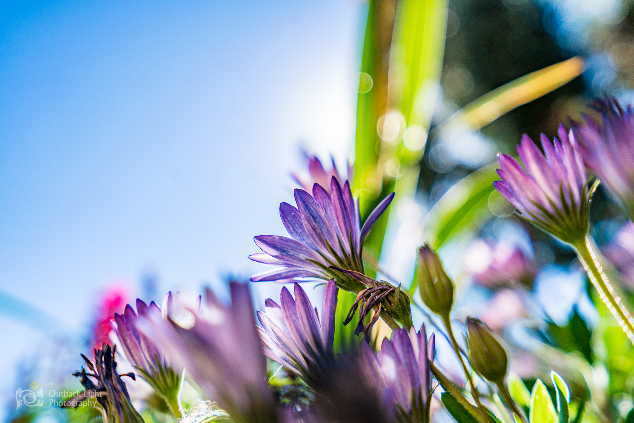 Peru 2016 A7RII 4629