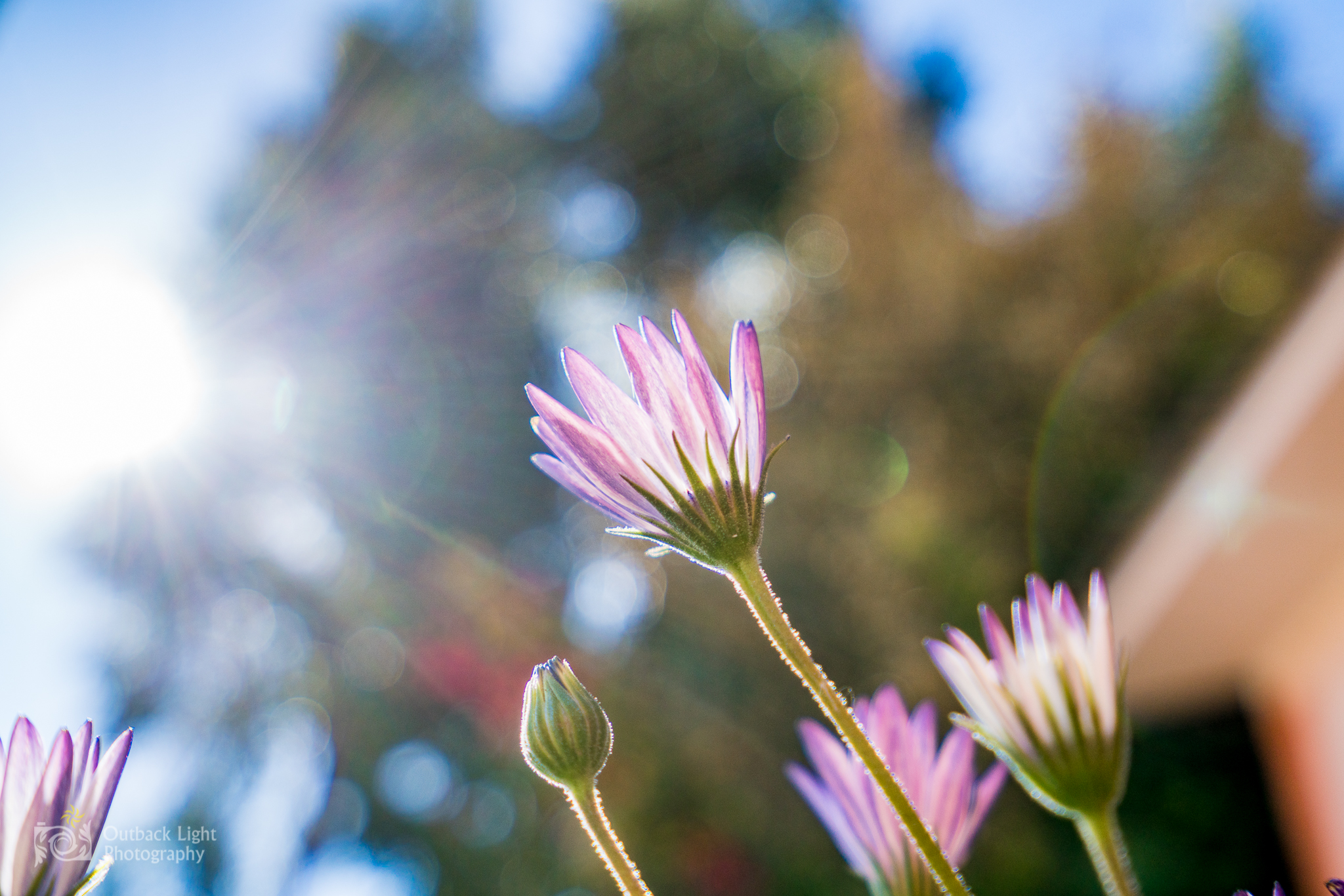 Peru 2016 A7RII 4631