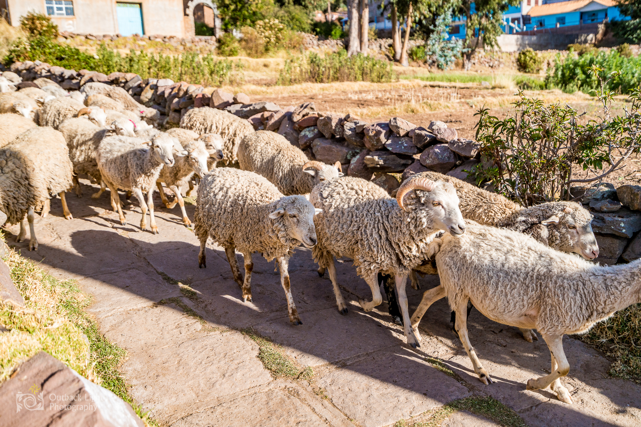 Peru 2016 A7RII 4641