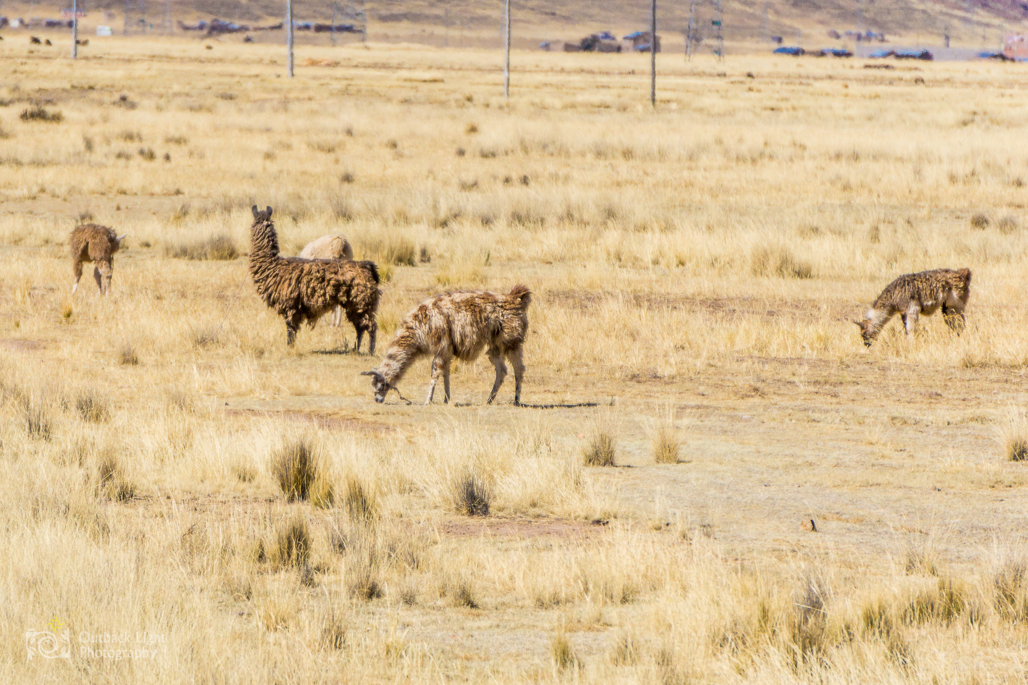 Peru 2016 A6000 7017
