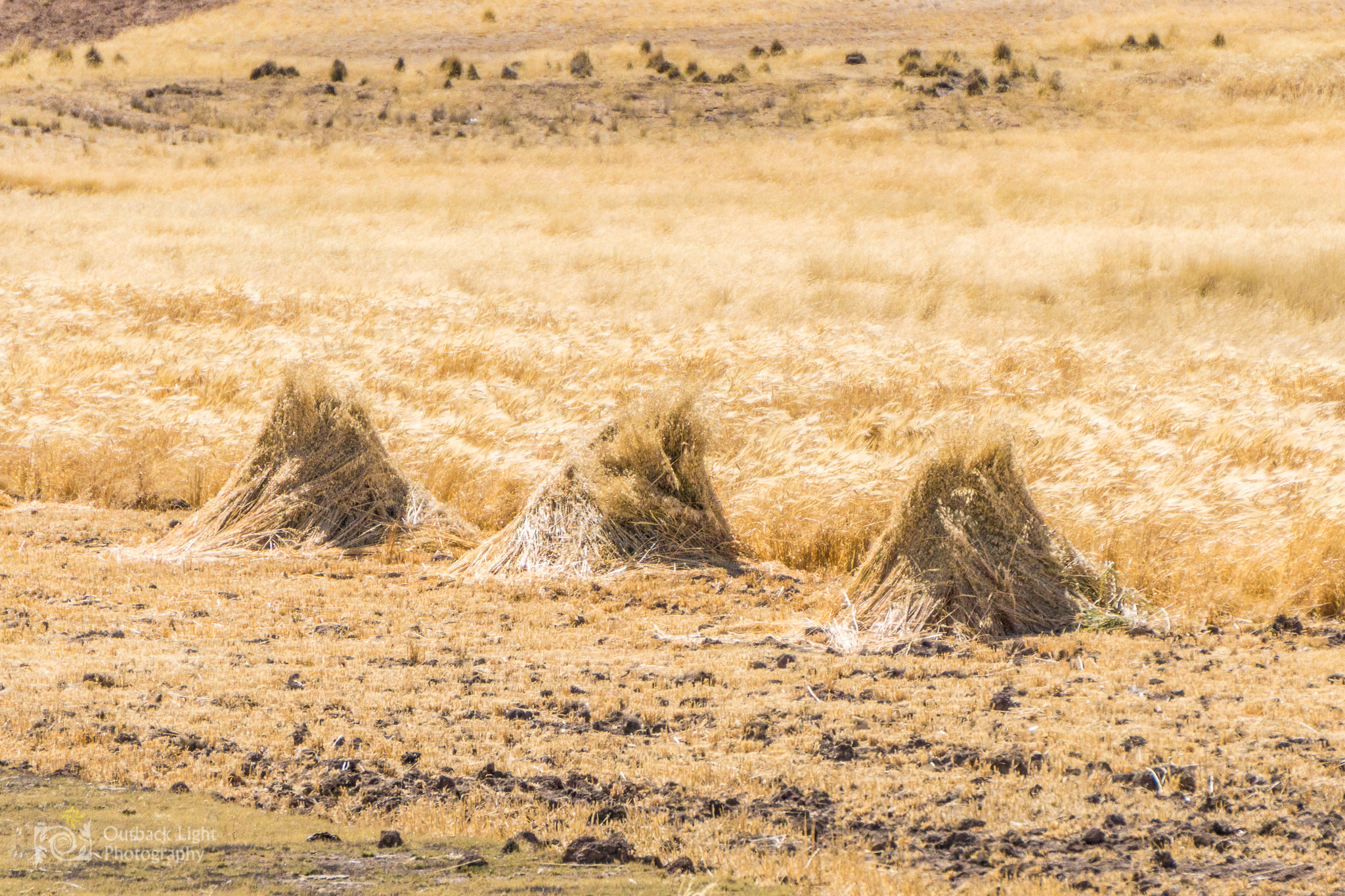 Peru 2016 A6000 7025