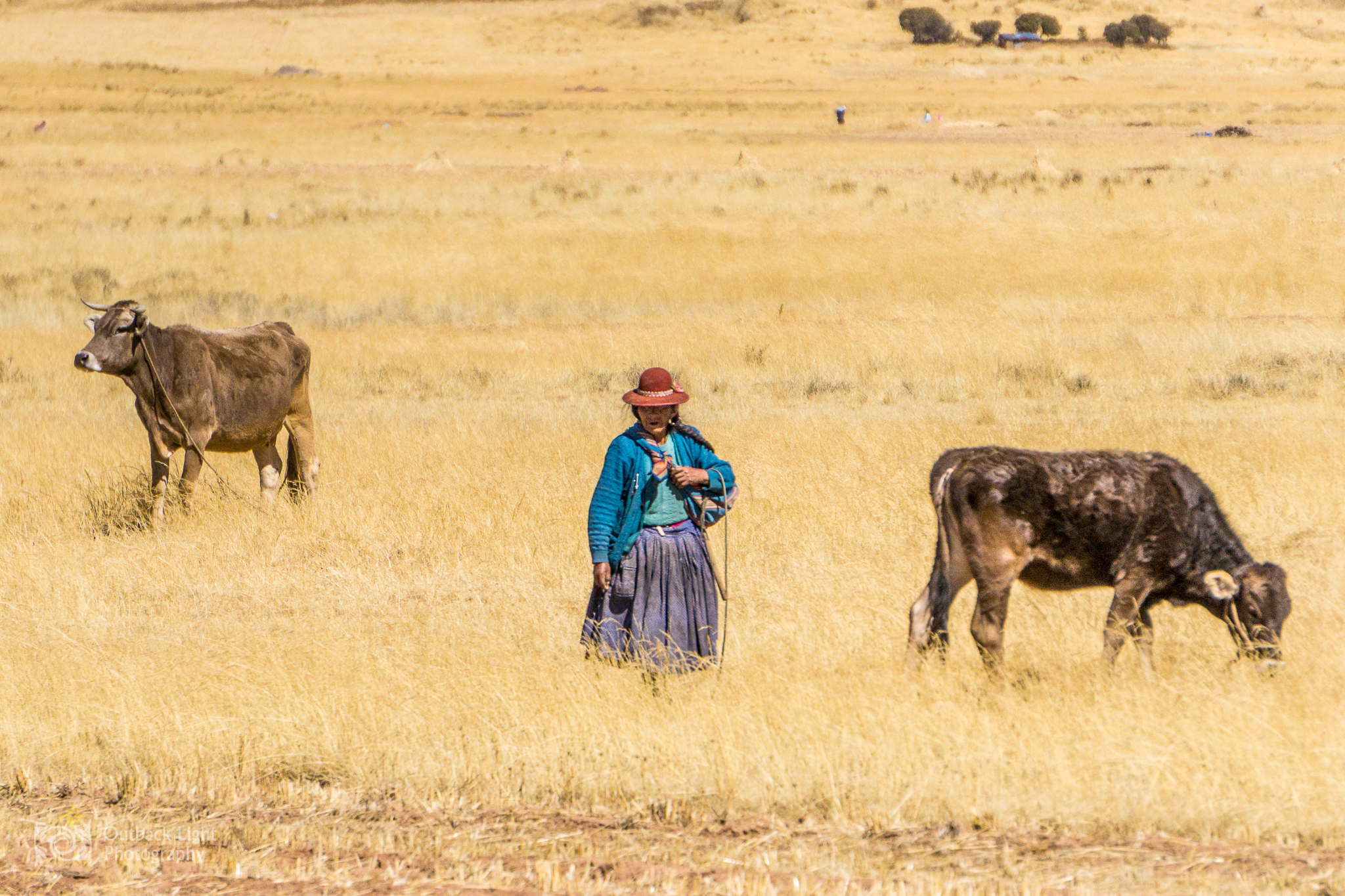 Peru 2016 A6000 7030