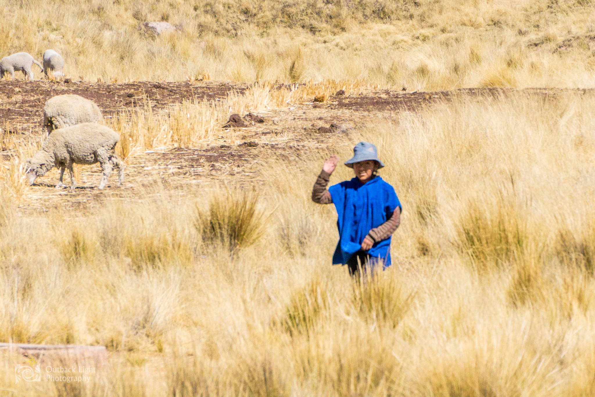 Peru 2016 A6000 7047