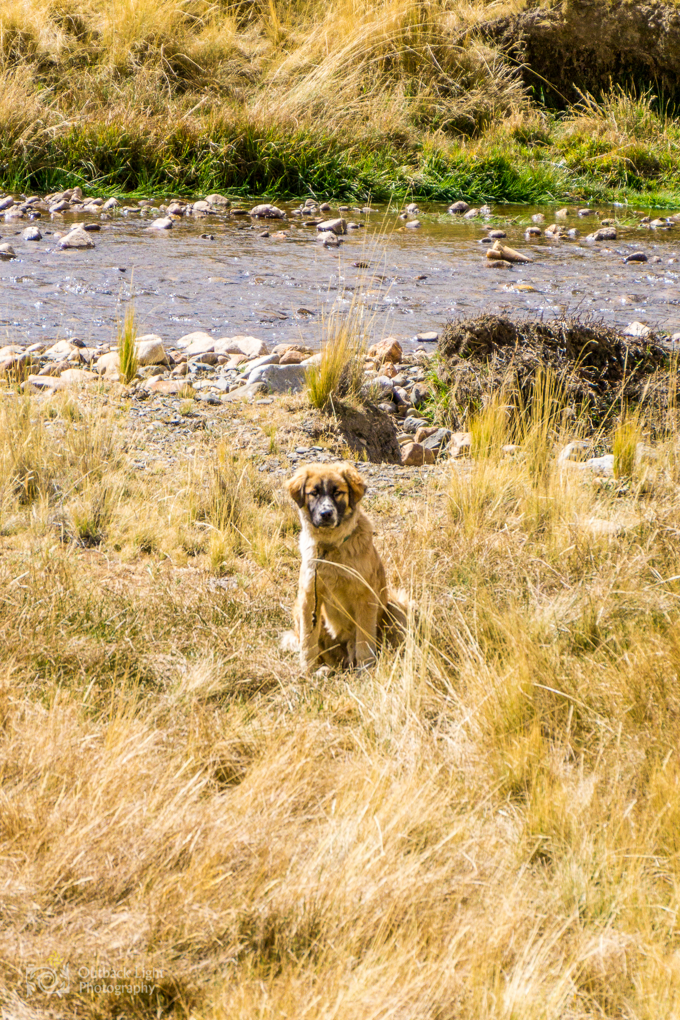 Peru 2016 A6000 7062