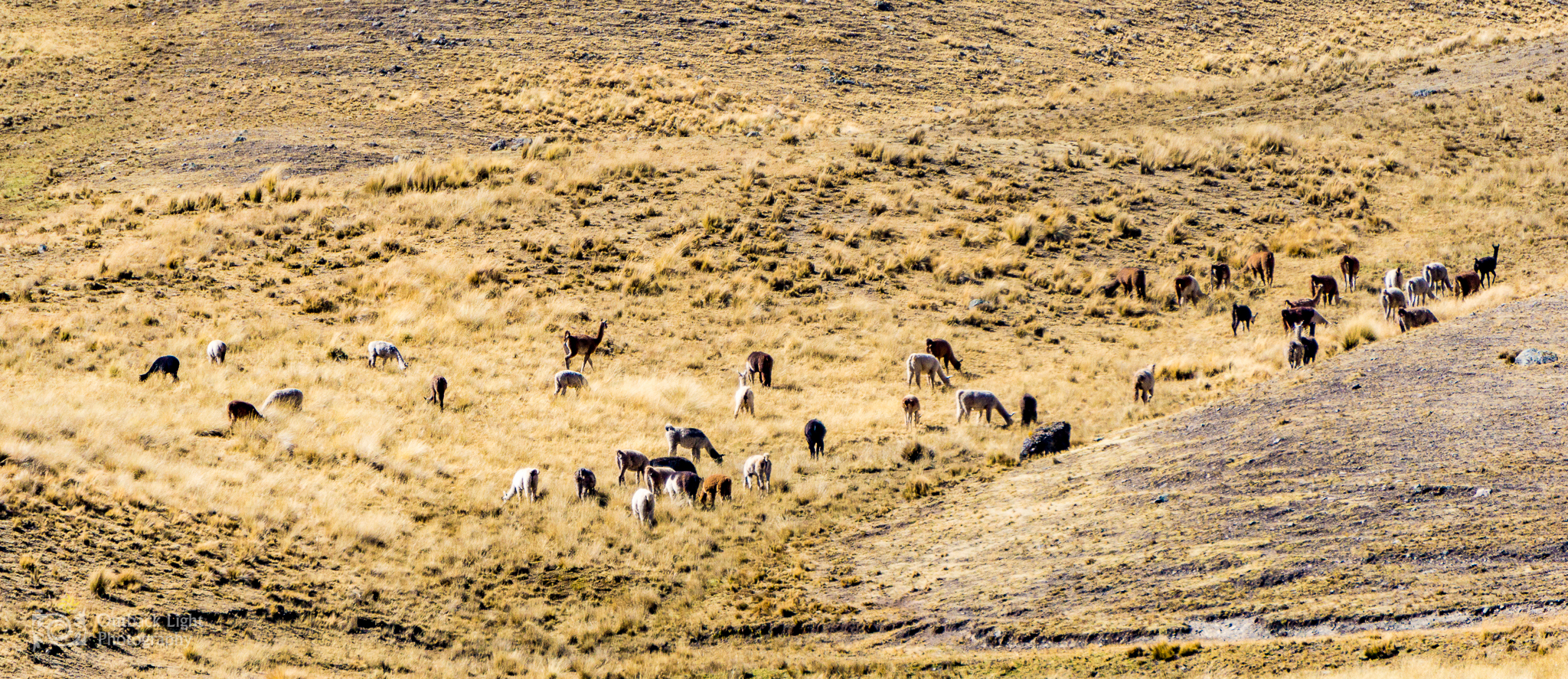 Peru 2016 A6000 7082