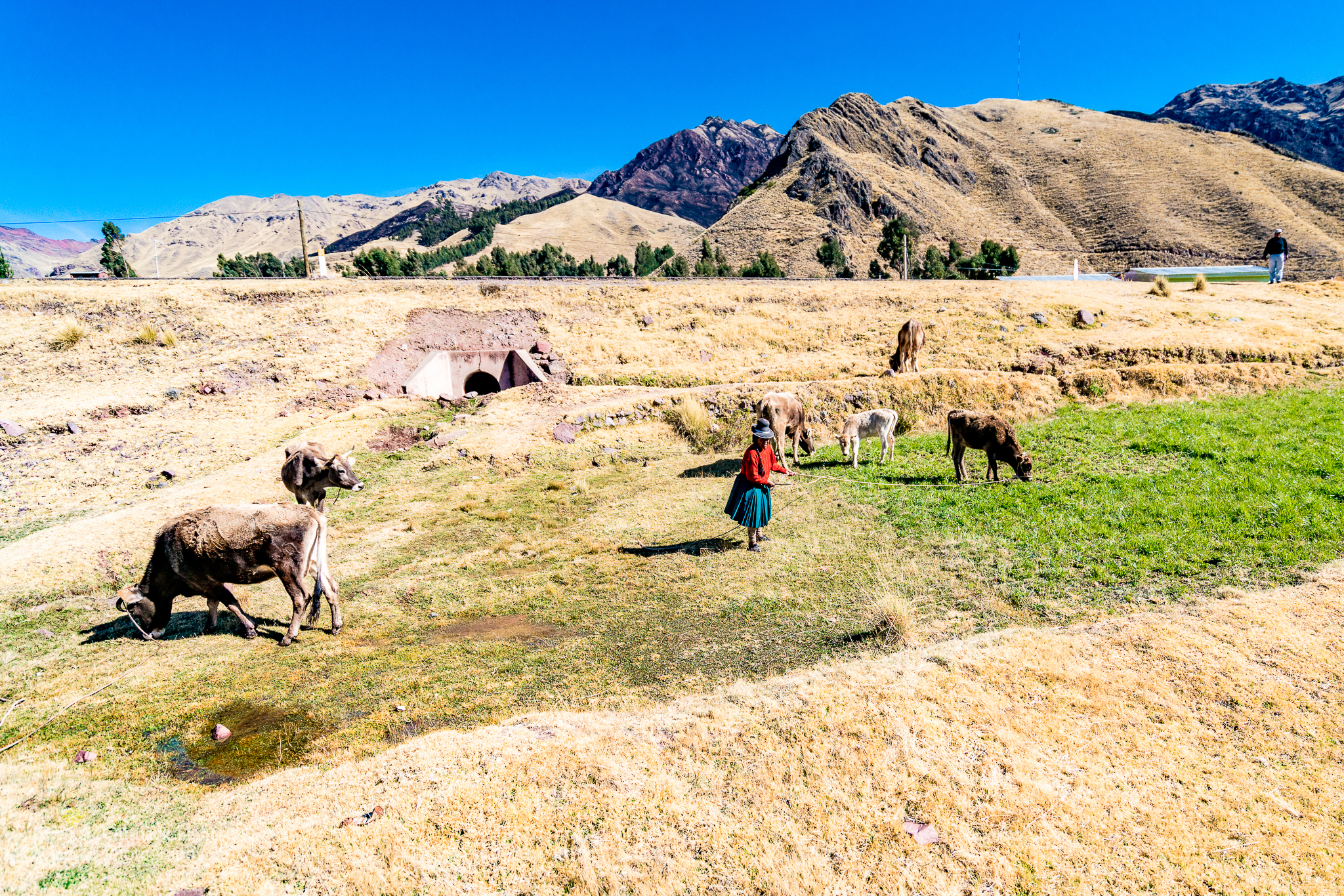 Peru 2016 A7RII 5034