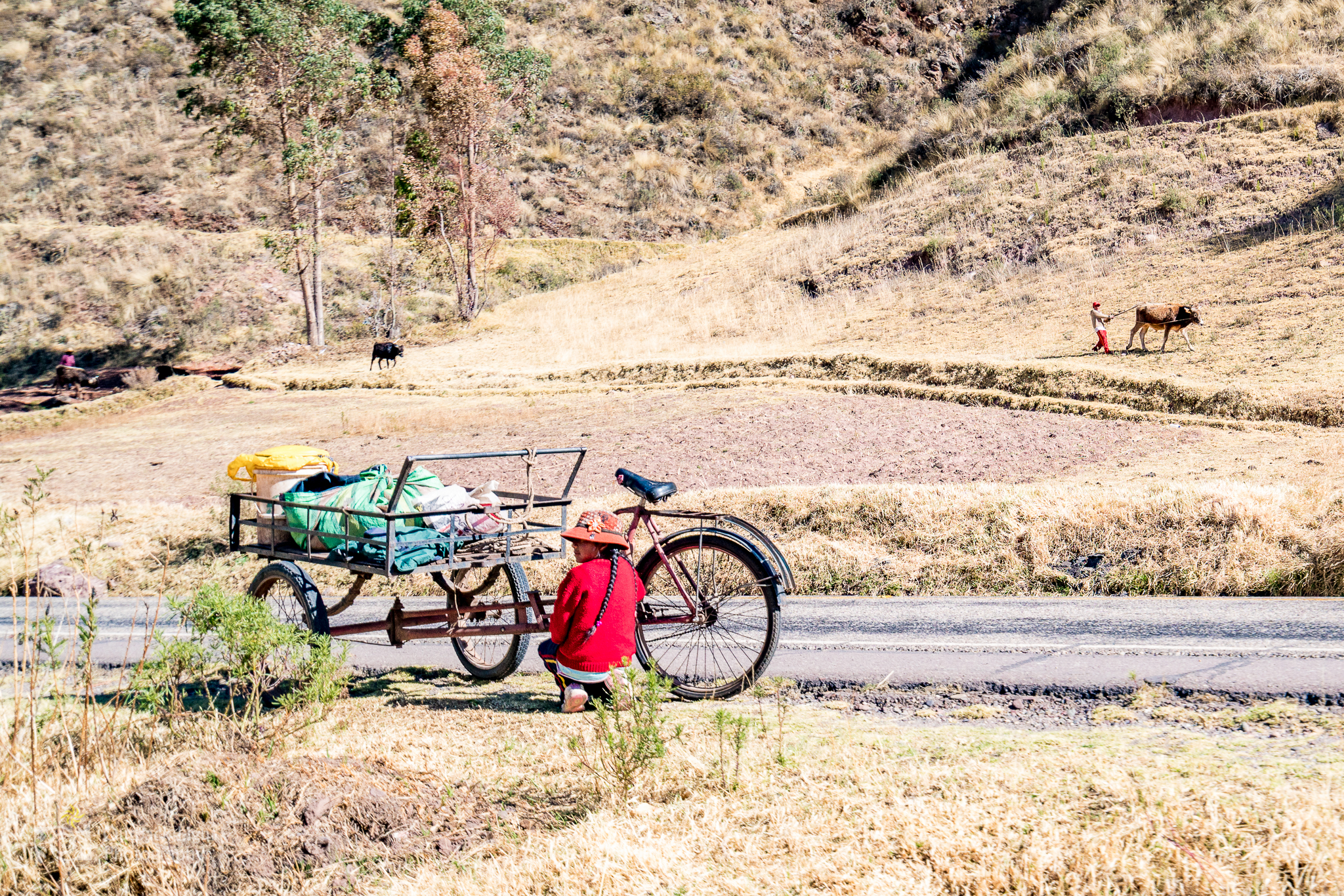 Peru 2016 A7RII 5036