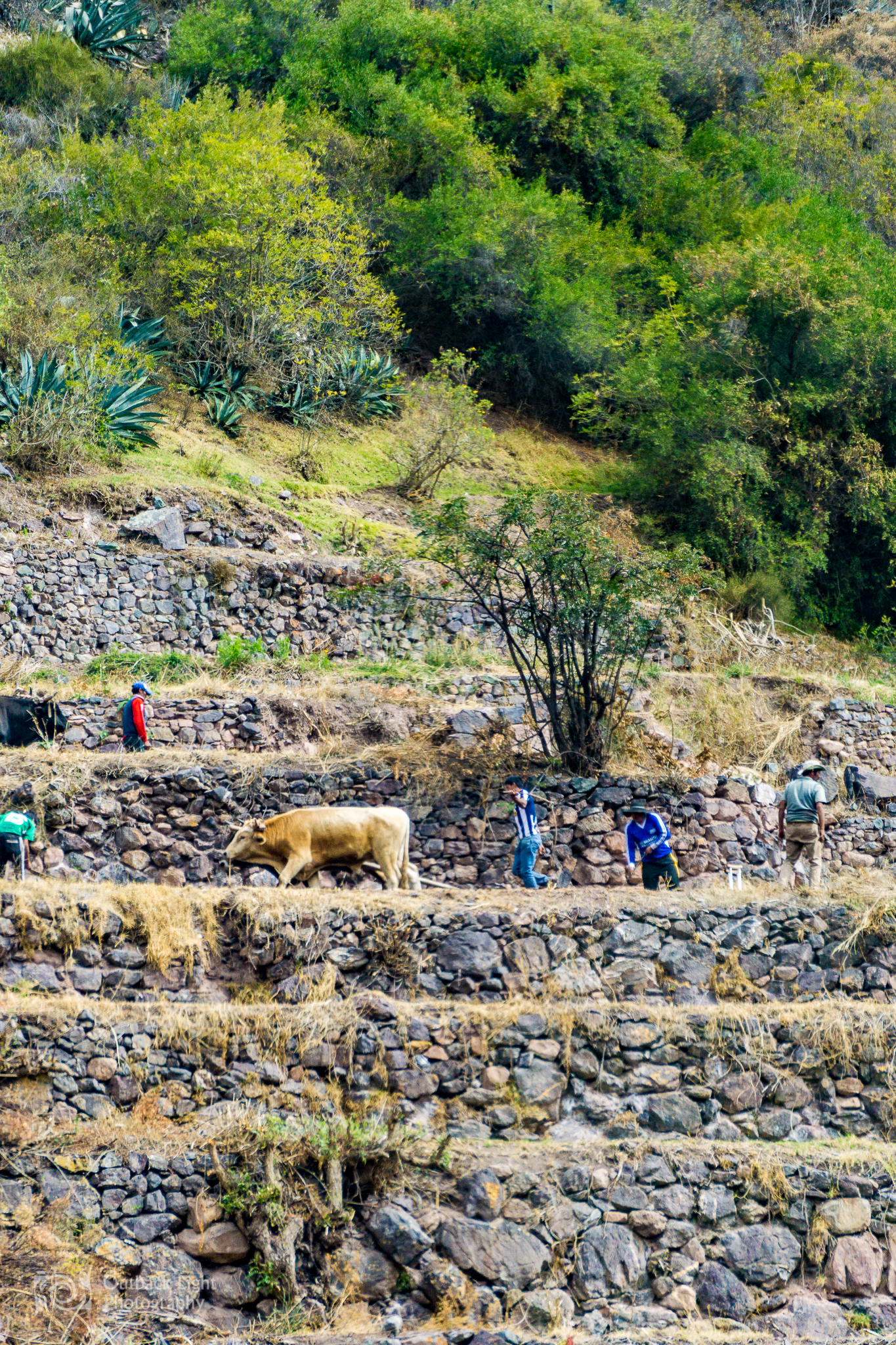 Peru 2016 A6000 7090