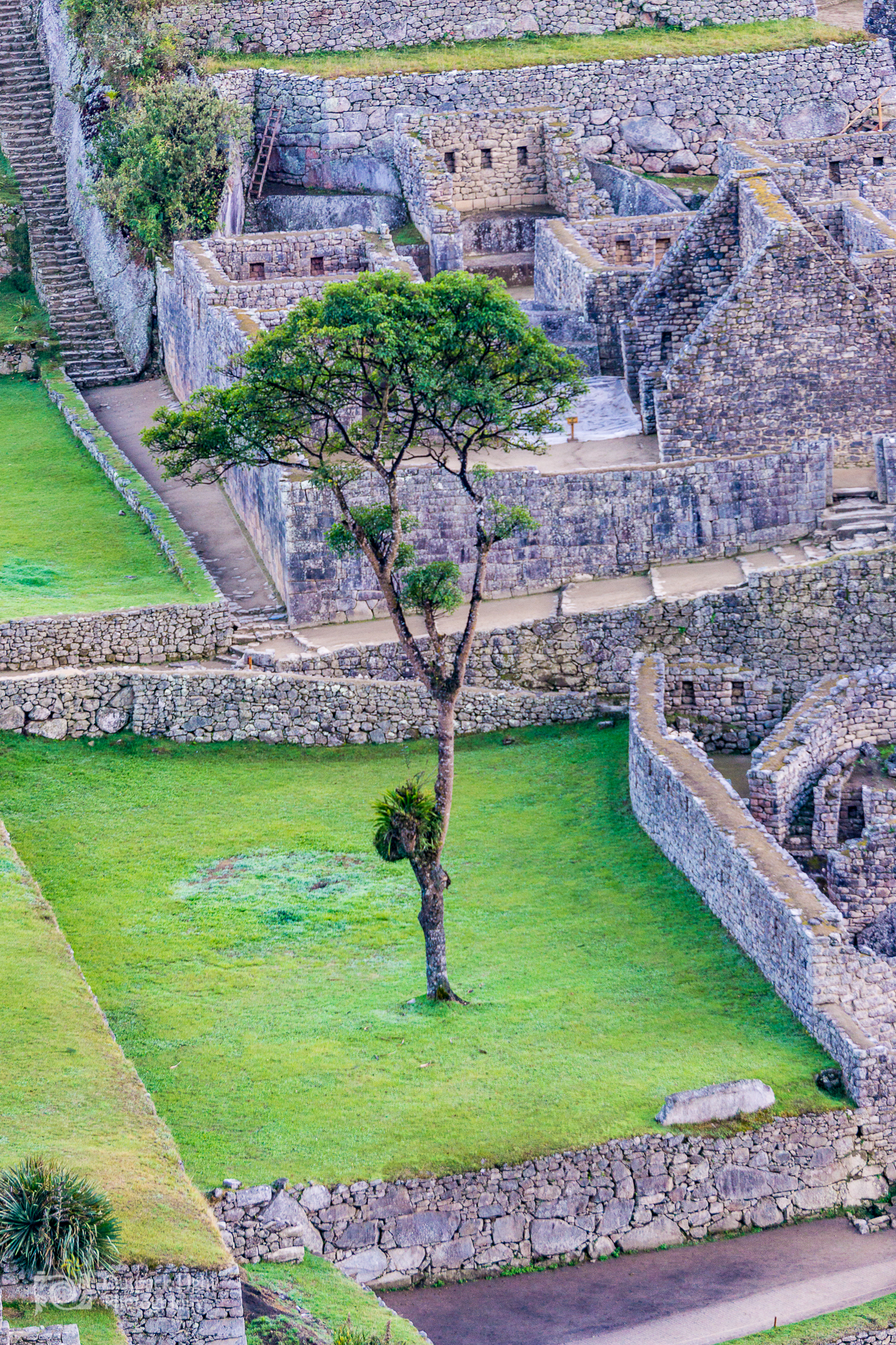 Peru 2016 A6000 7123