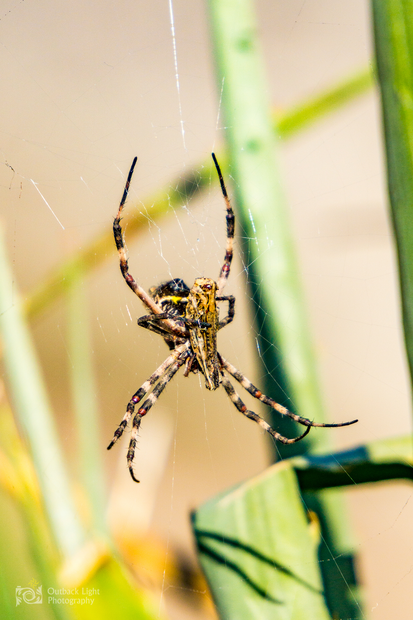 Peru 2016 A6000 7185