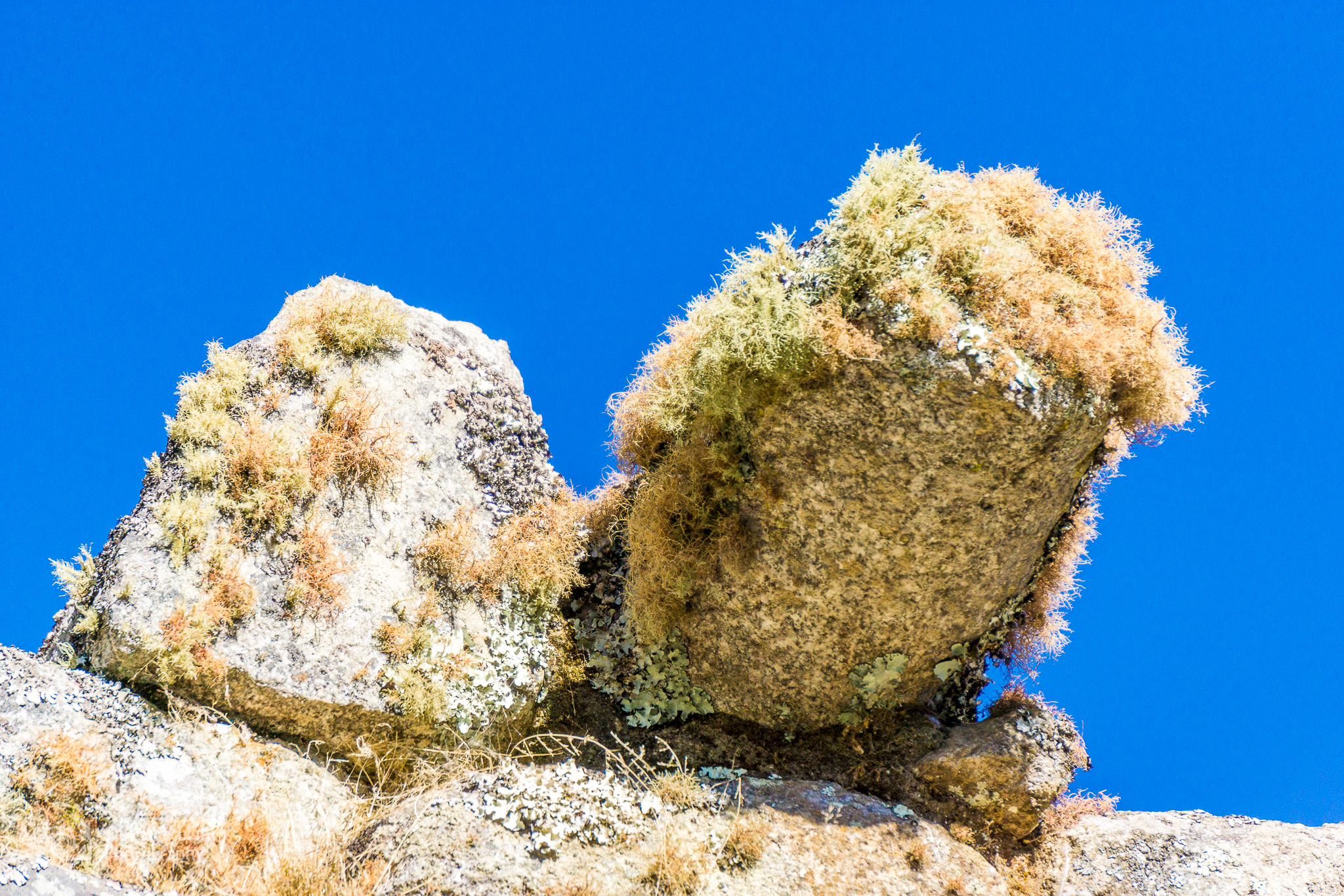 Peru 2016 A6000 7208